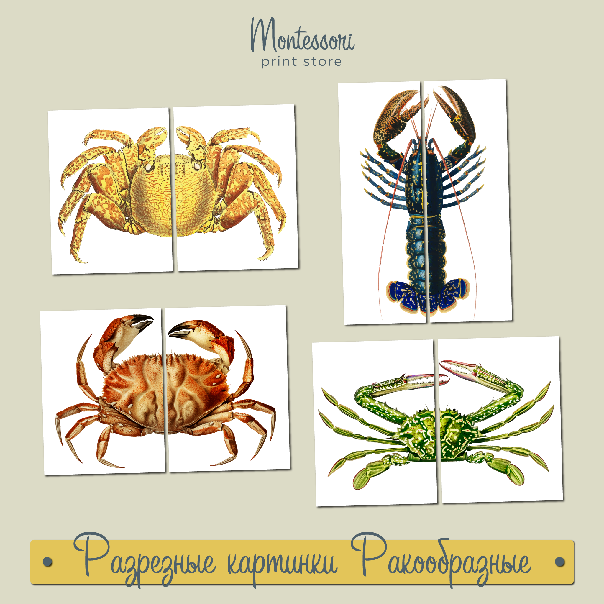 РАЗРЕЗНЫЕ КАРТИНКИ - РАКООБРАЗНЫЕ