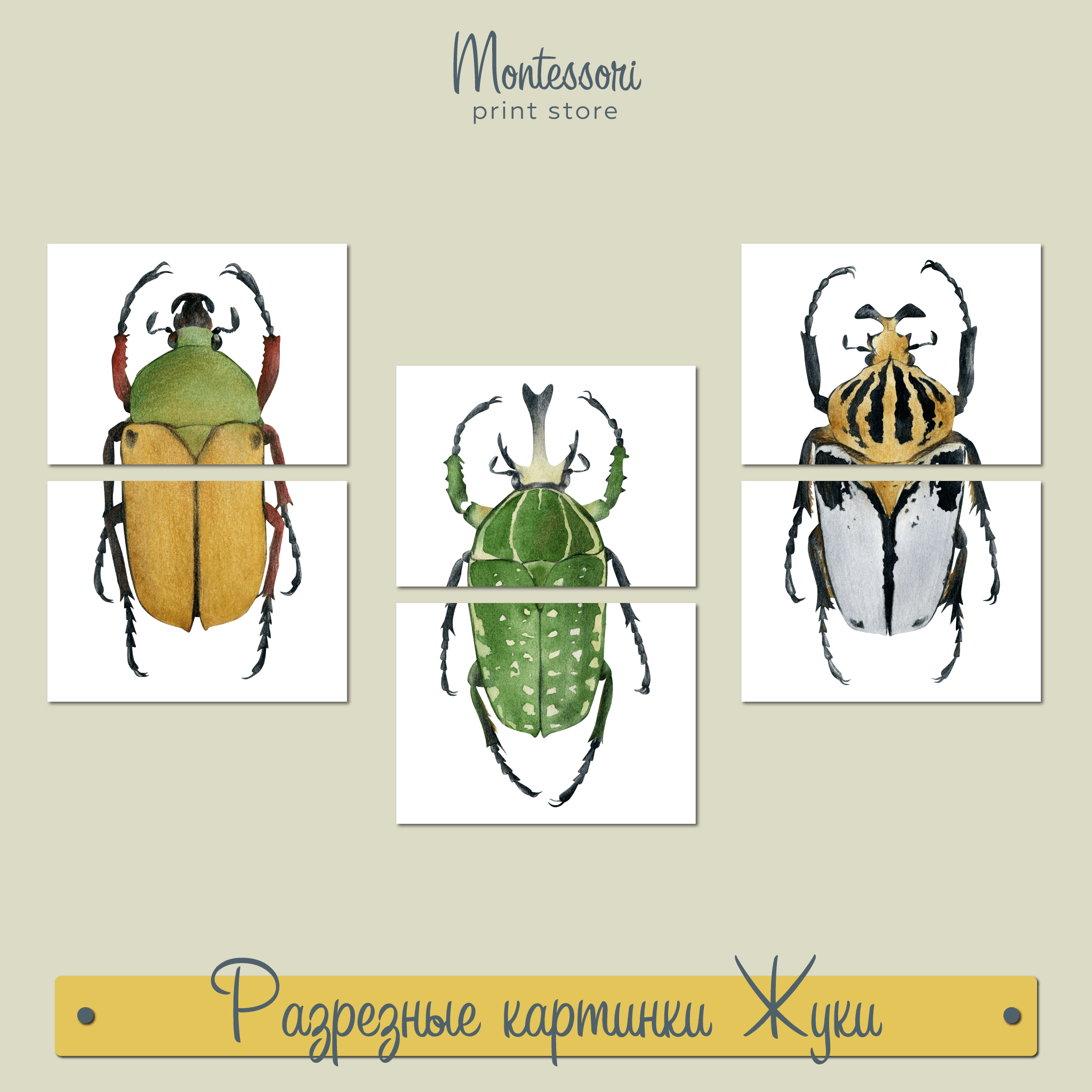 РАЗРЕЗНЫЕ КАРТИНКИ - ЖУКИ