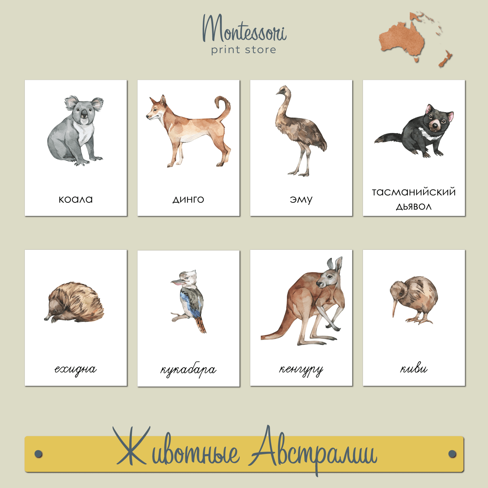 Животные Австралии - карточки Монтессори купить и скачать