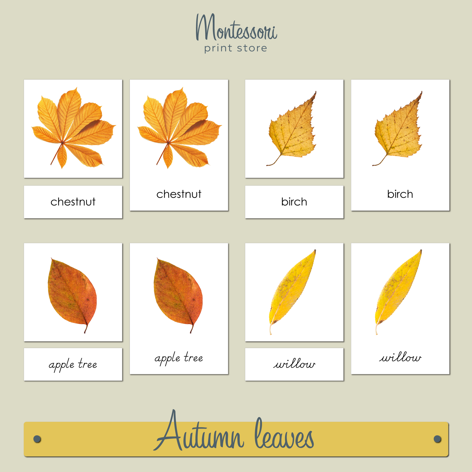 Autumn Leaves 3-Part Cards - Montessori Nomenclature Cards