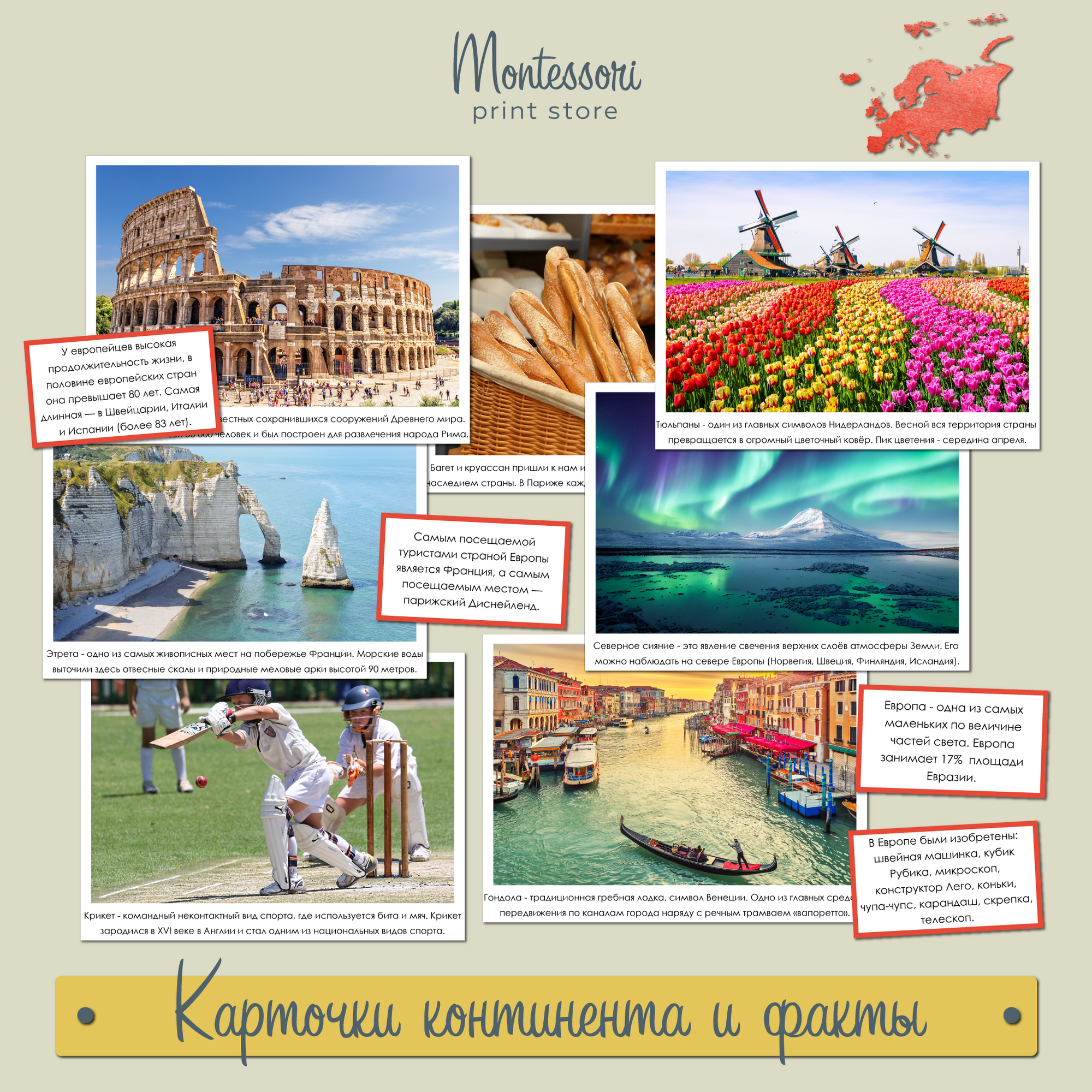 Карточки континента и факты Европа - география Монтессори купить и скачать