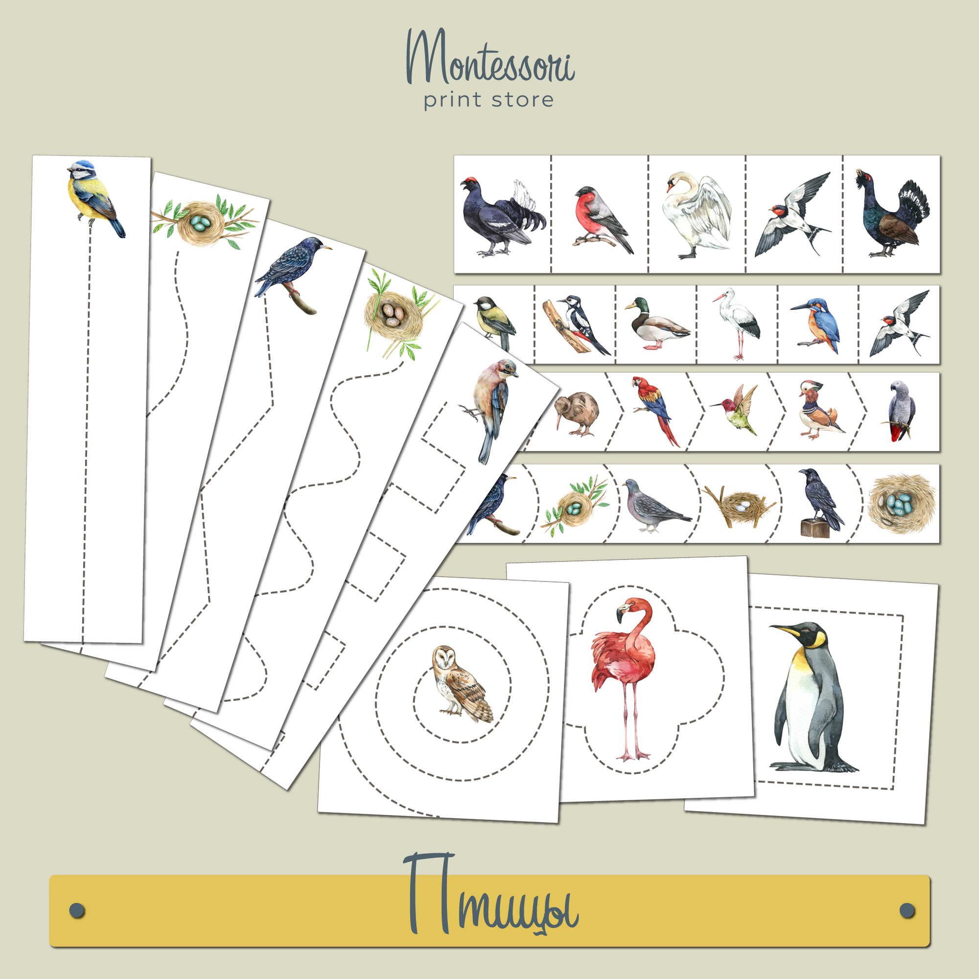 Вырезание Монтессори Птицы - купить и скачать