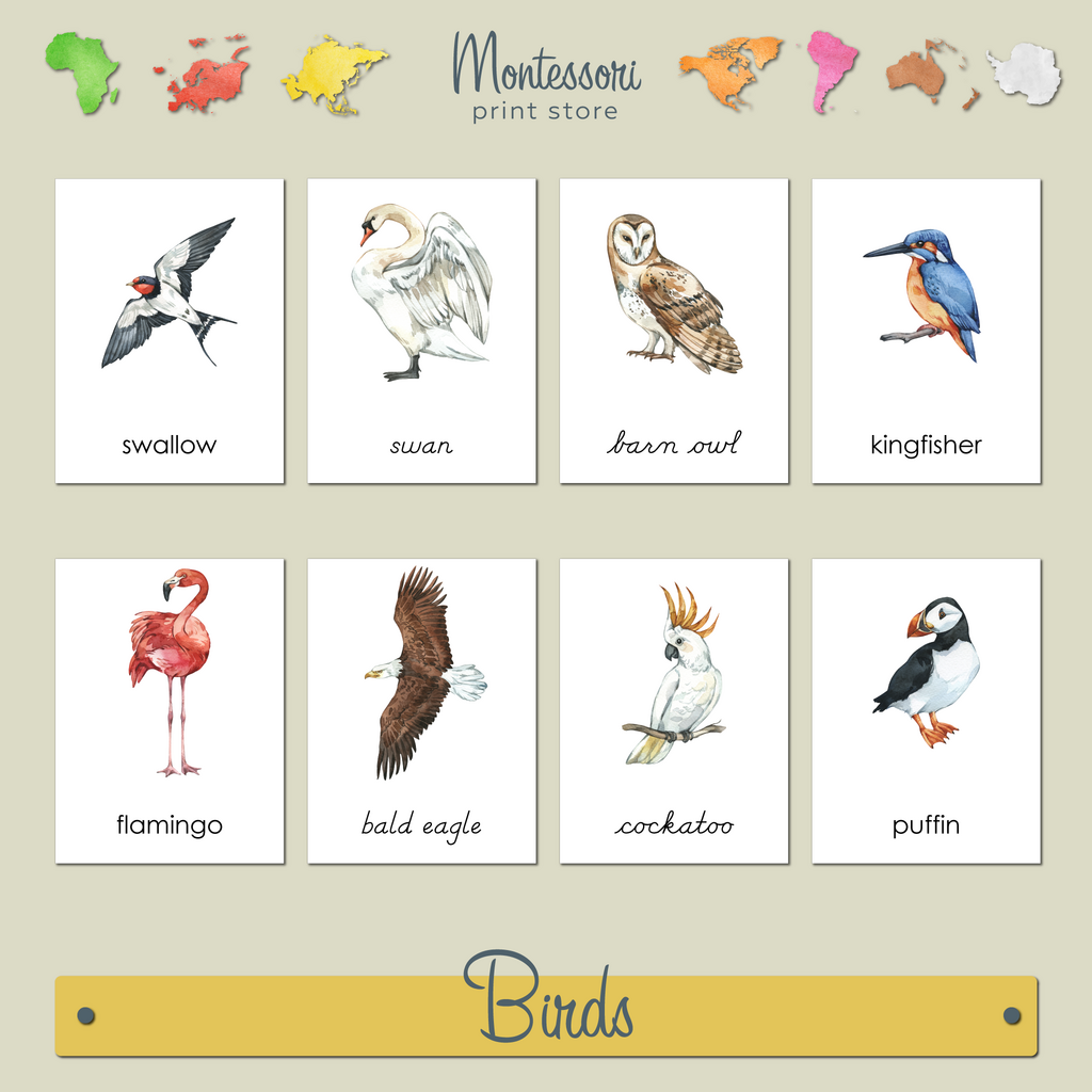 BIRDS  3-PART CARDS - MONTESSORI NOMENCLATURE CARDS