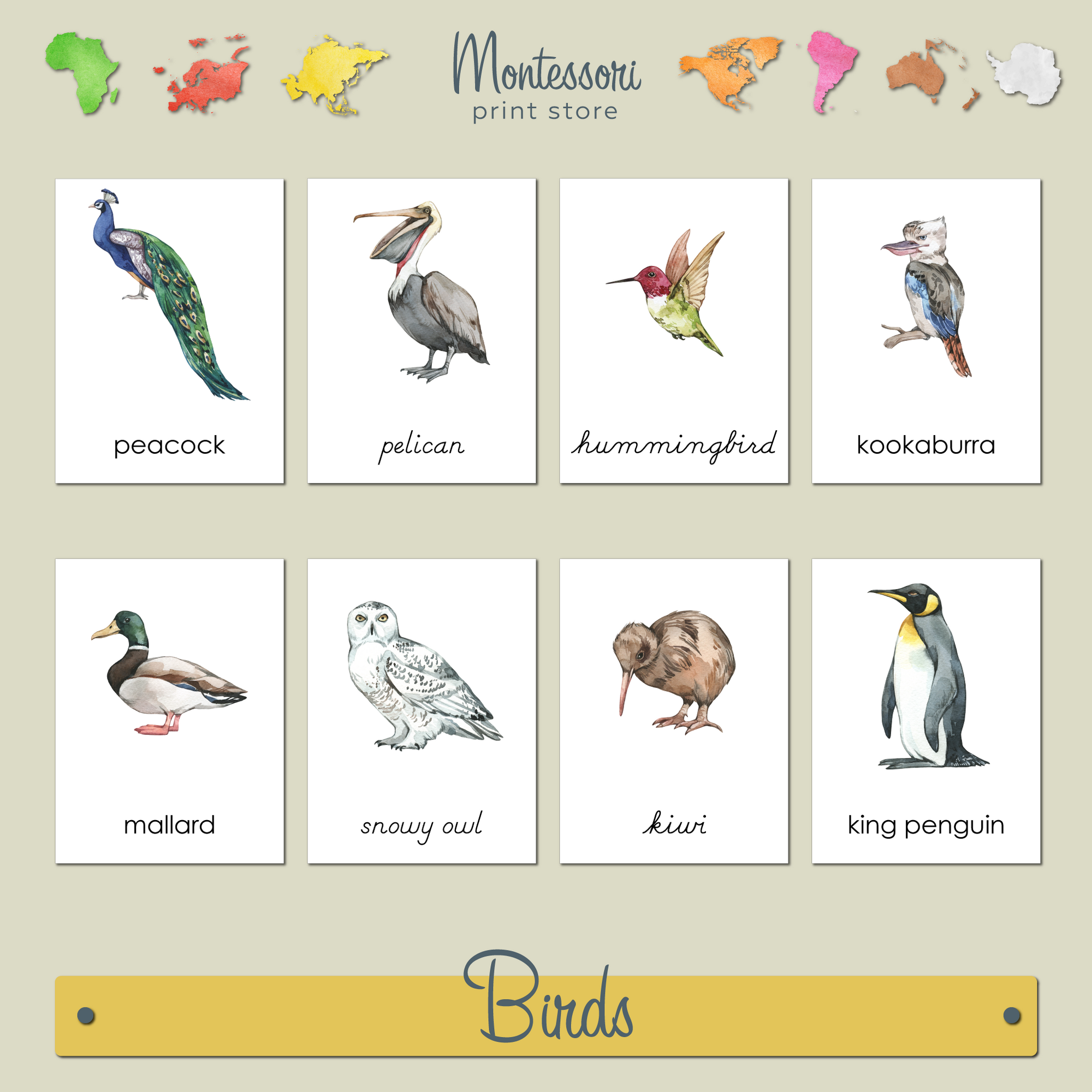 BIRDS  3-PART CARDS - MONTESSORI NOMENCLATURE CARDS