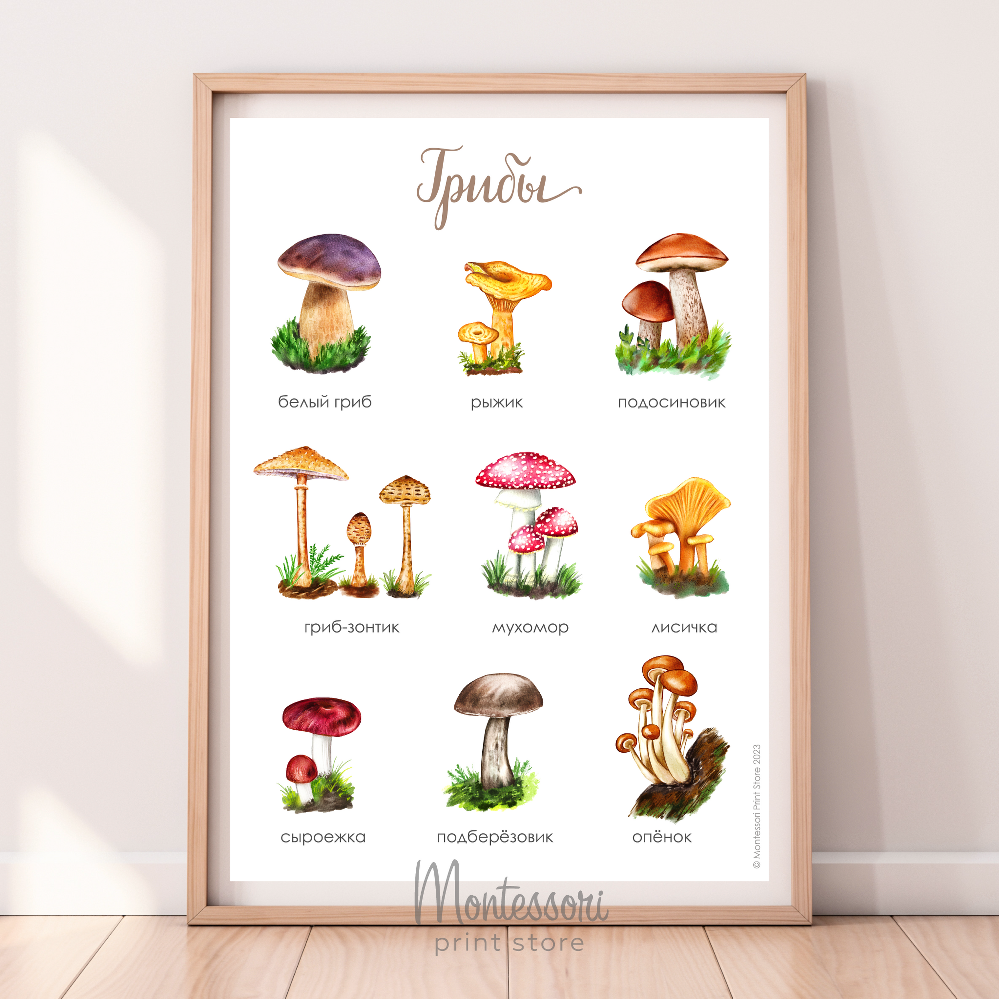 Постер Грибы - купить и скачать