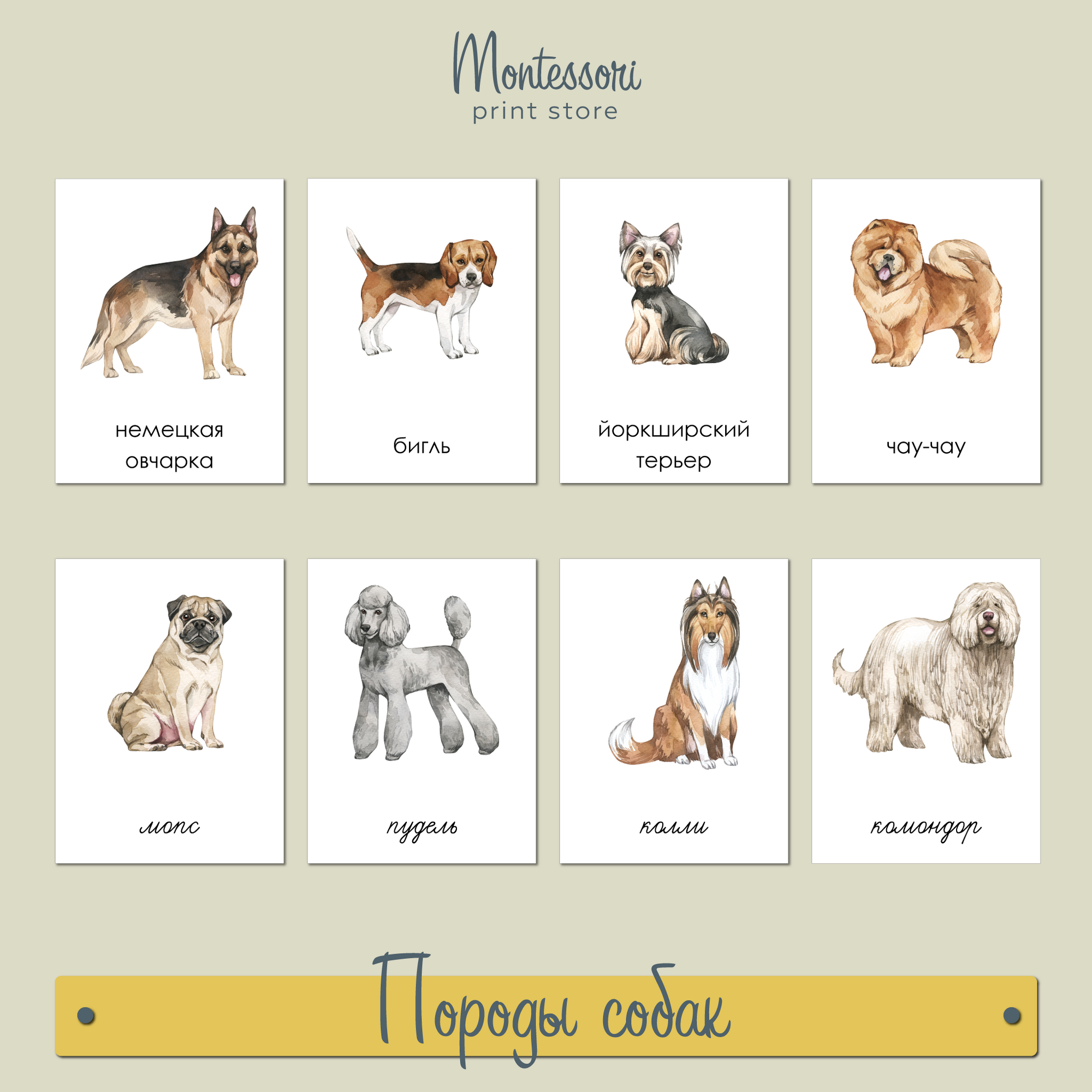 Породы собак - трехчастные карточки Монтессори купить и скачать