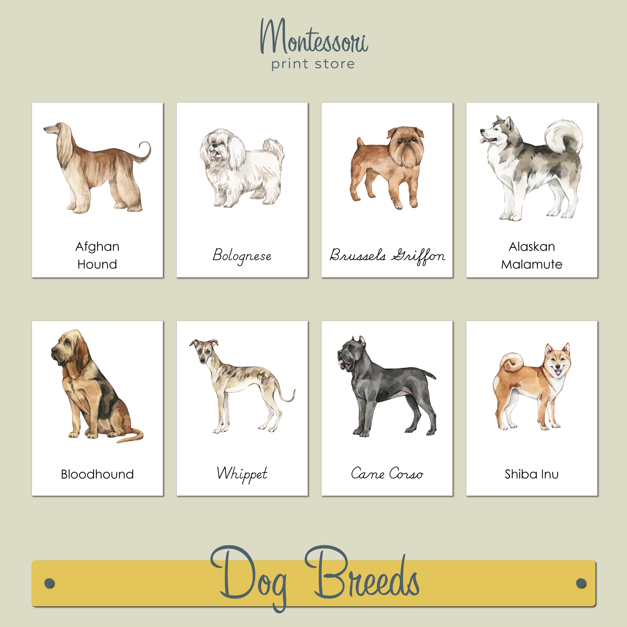 DOG BREEDS - MONTESSORI NOMENCLATURE CARDS