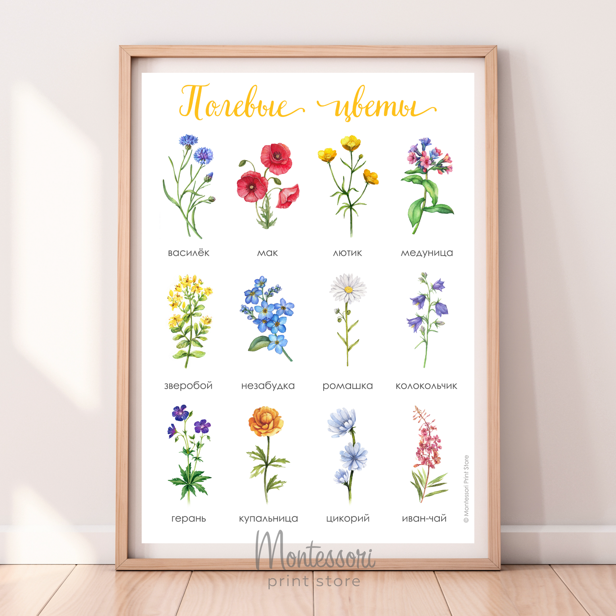 Постер Полевые цветы - электронный постер купить и скачать