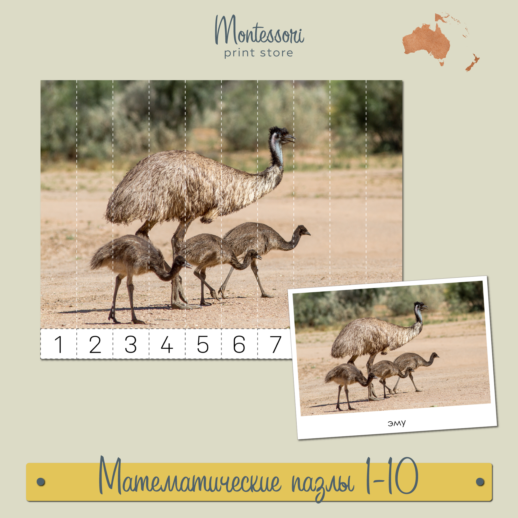 Животные Австралии и Океании -  Математические пазлы 1-10 купить и скачать