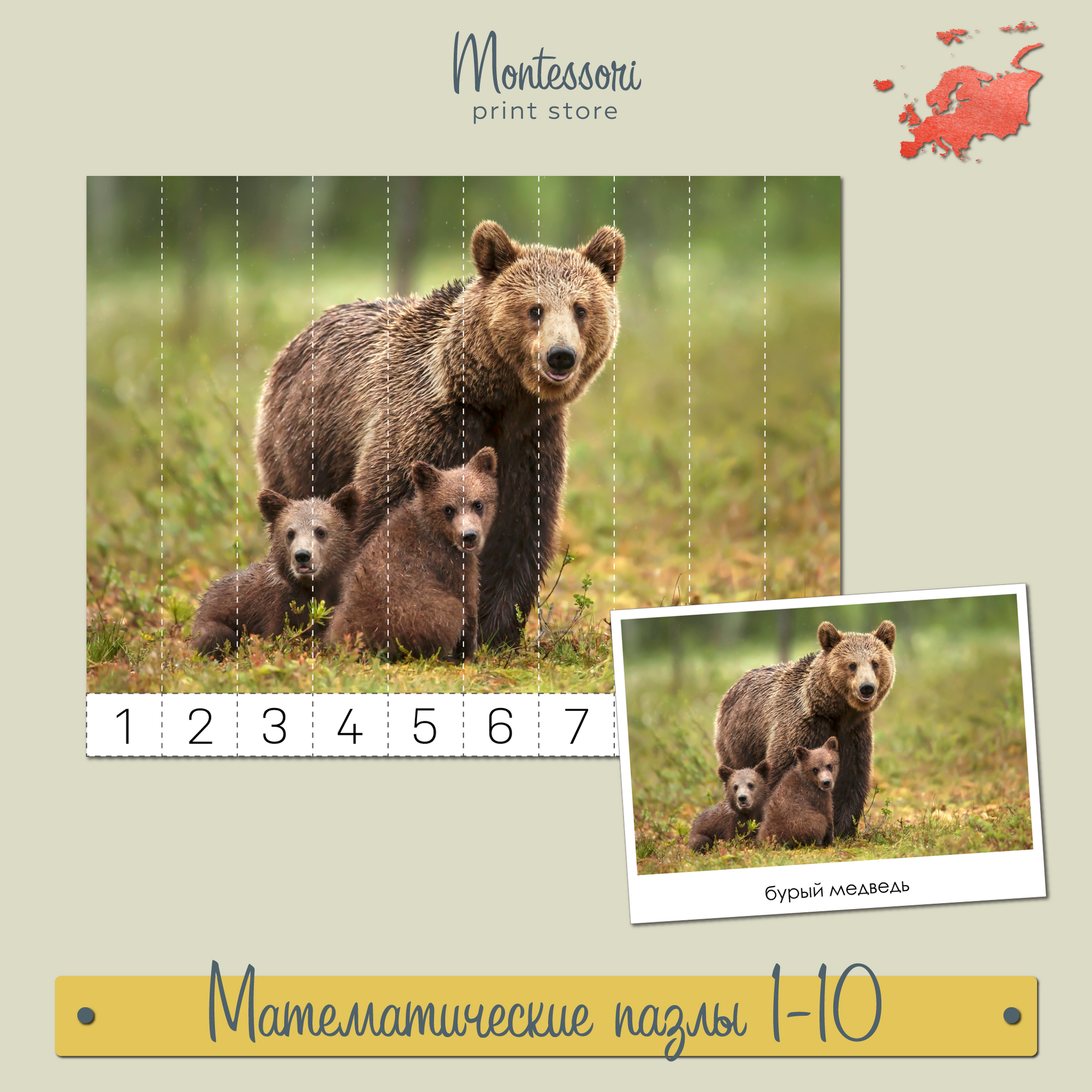 Животные Европы -  Математические пазлы 1-10 купить и скачать