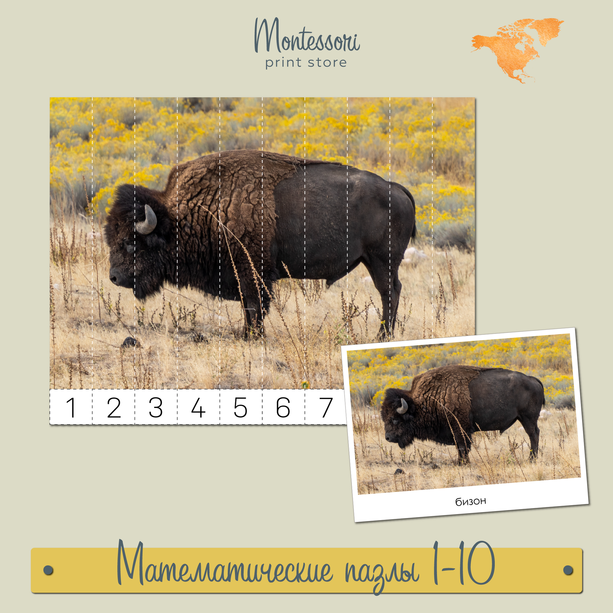 Животные Северной Америки -  Математические пазлы 1-10 купить и скачать