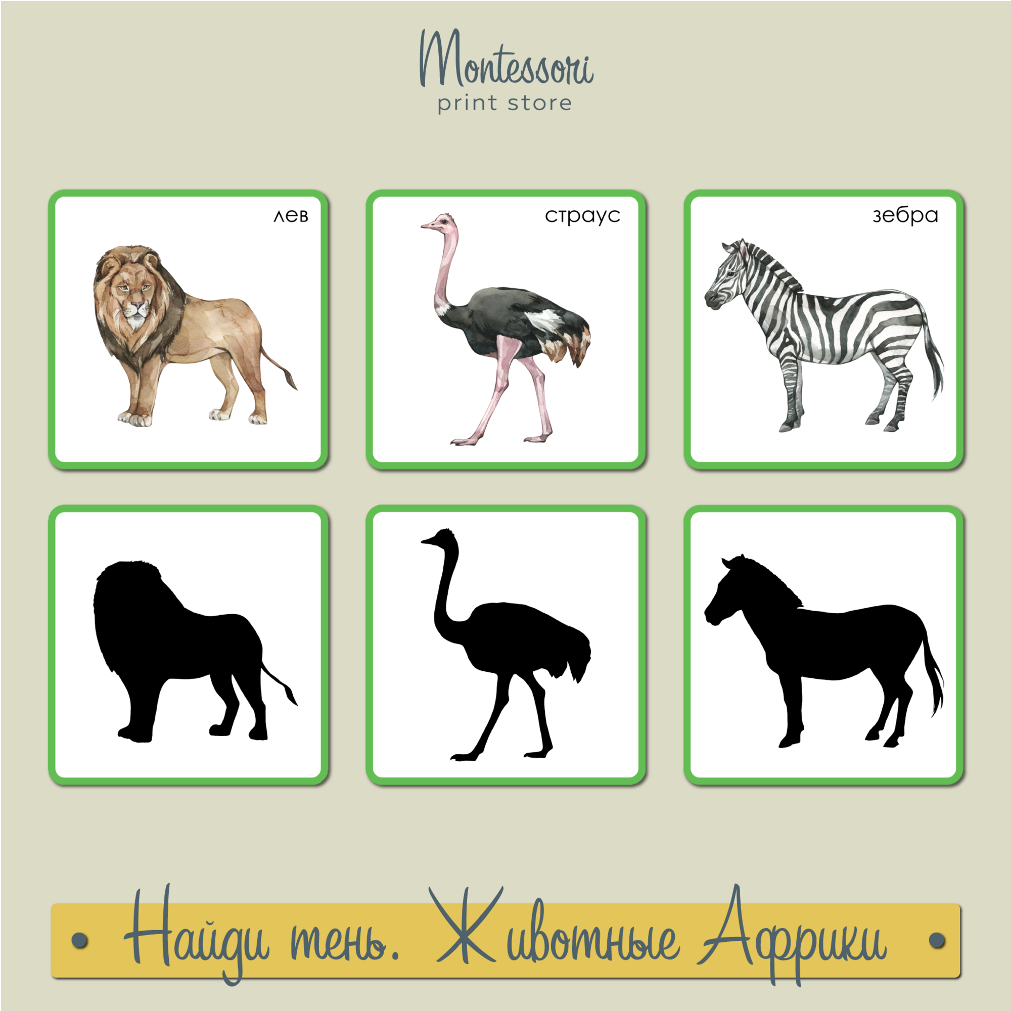 Найди тень Животные Африки - карточки Монтессори купить и скачать