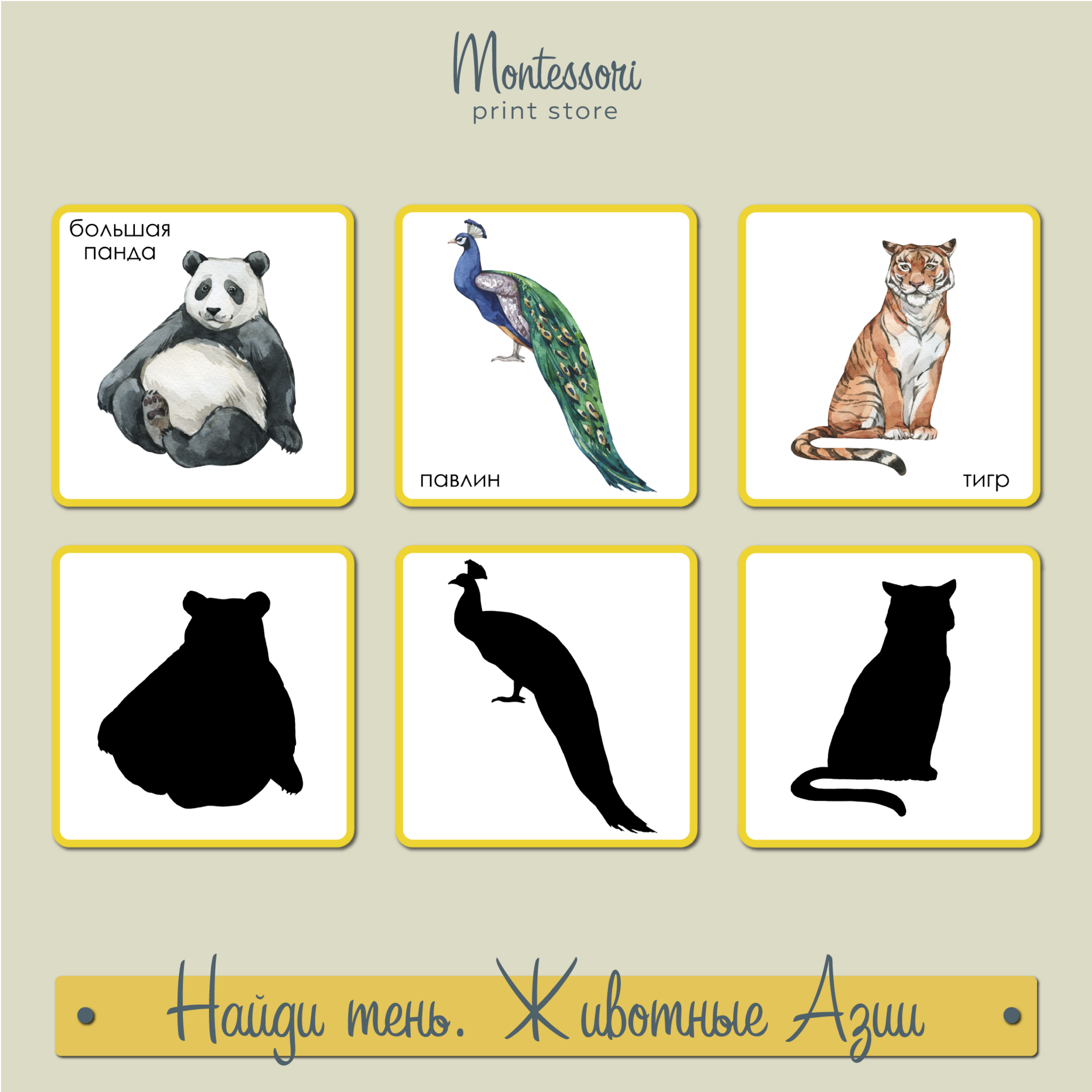 Найди тень Животные Азии - карточки Монтессори купить и скачать