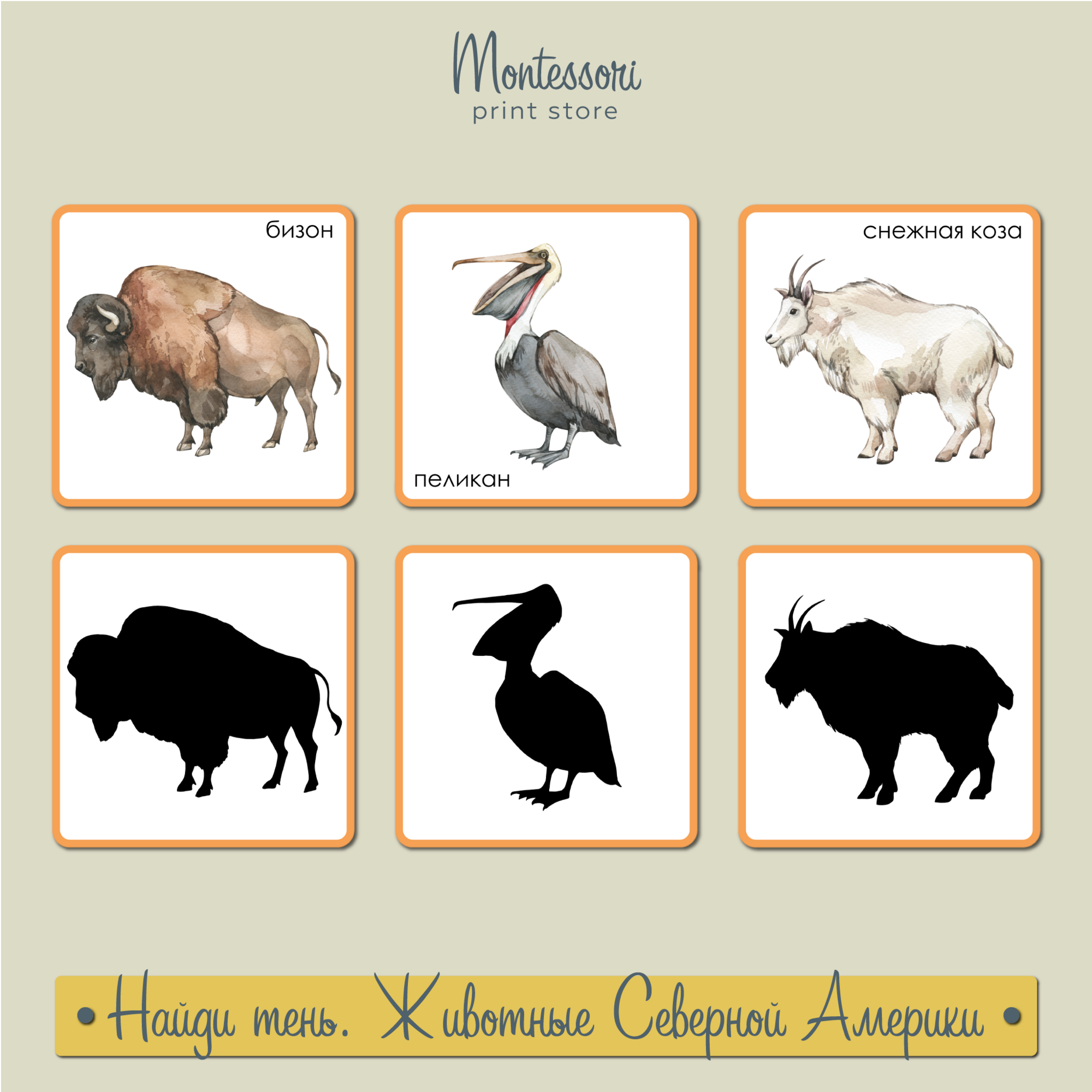 НАЙДИ ТЕНЬ - ЖИВОТНЫЕ СЕВЕРНОЙ АМЕРИКИ