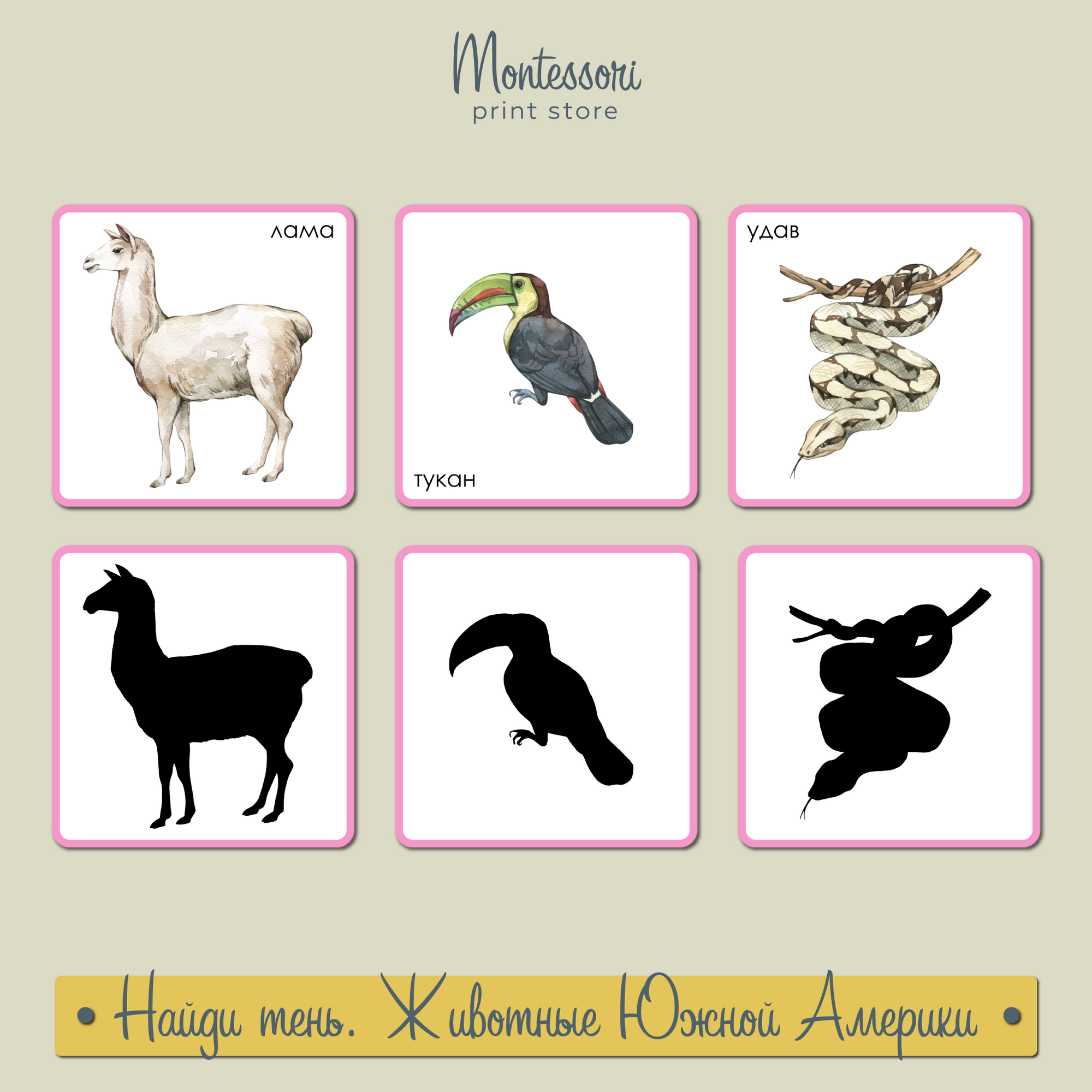 Найди тень Животные Южной Америки - карточки Монтессори купить и скачать