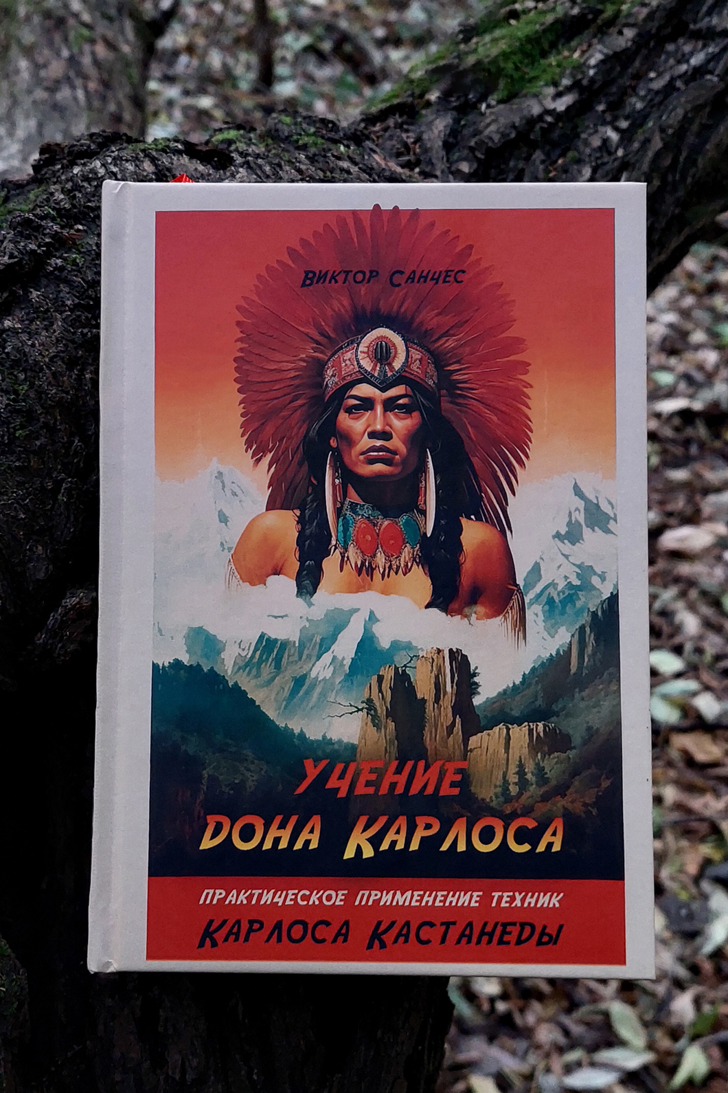 Учение дона Карлоса | Виктор Санчес