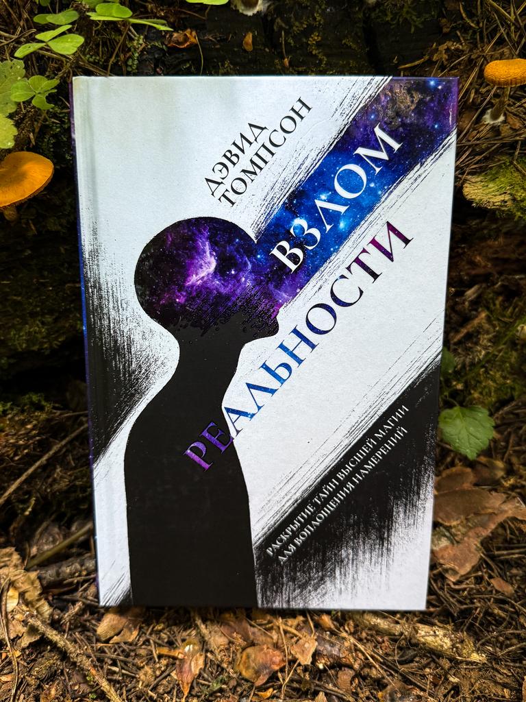 Взлом реальности | Дэвид Томпсон