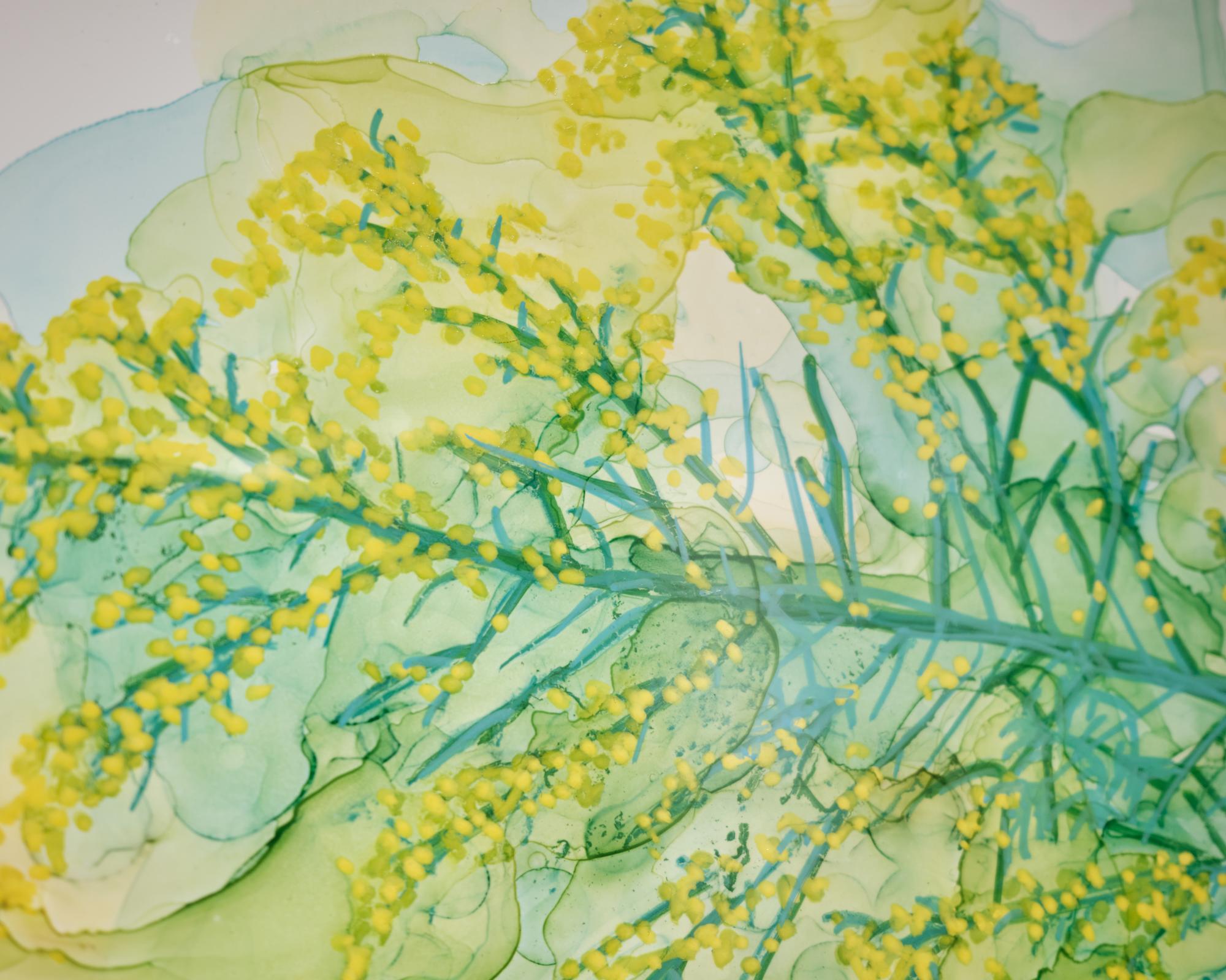 из серии "Марки Флора Урала" ИЛЬЯ ФРОЛОВ