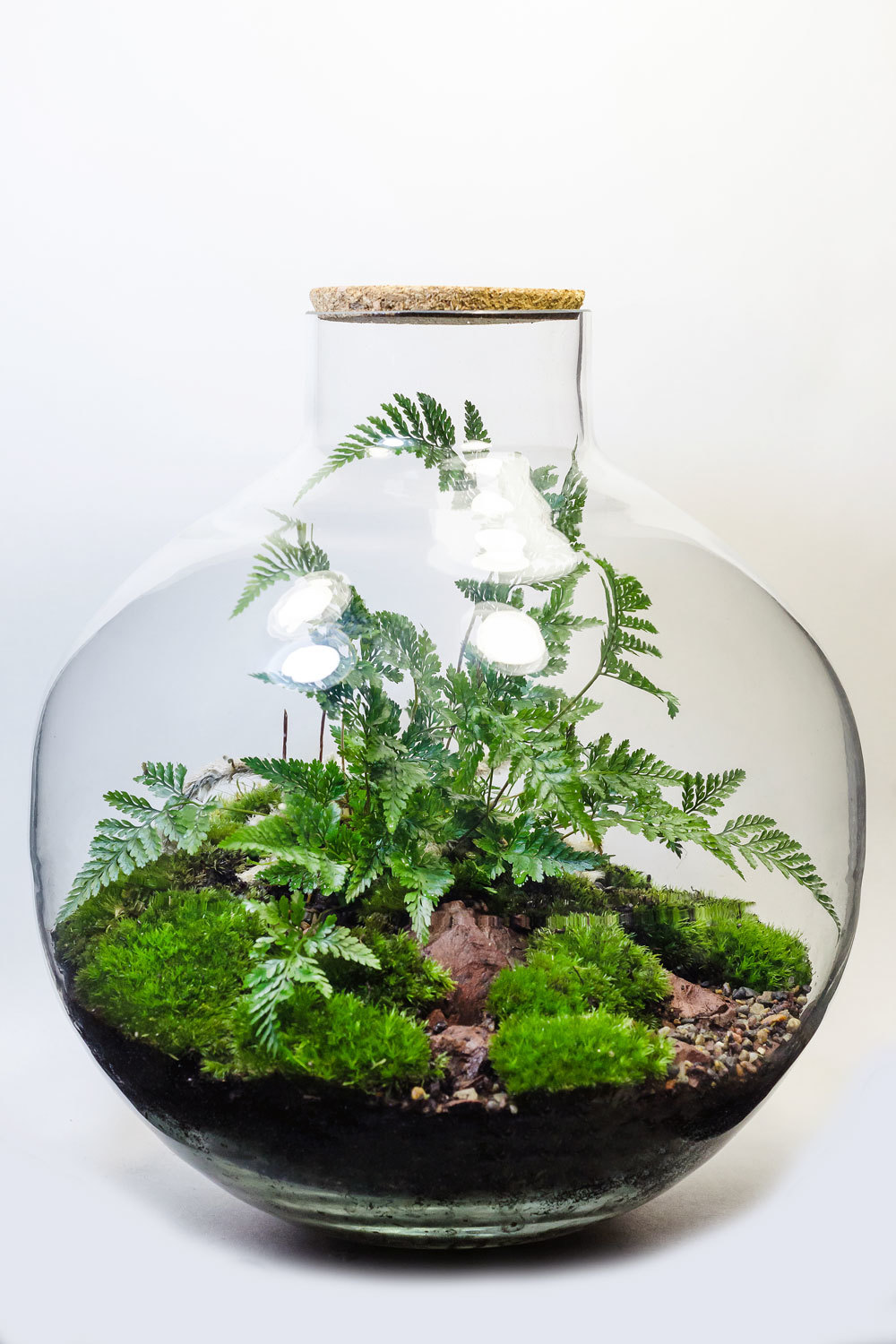 ФЛОРАРИУМ BUBBLE