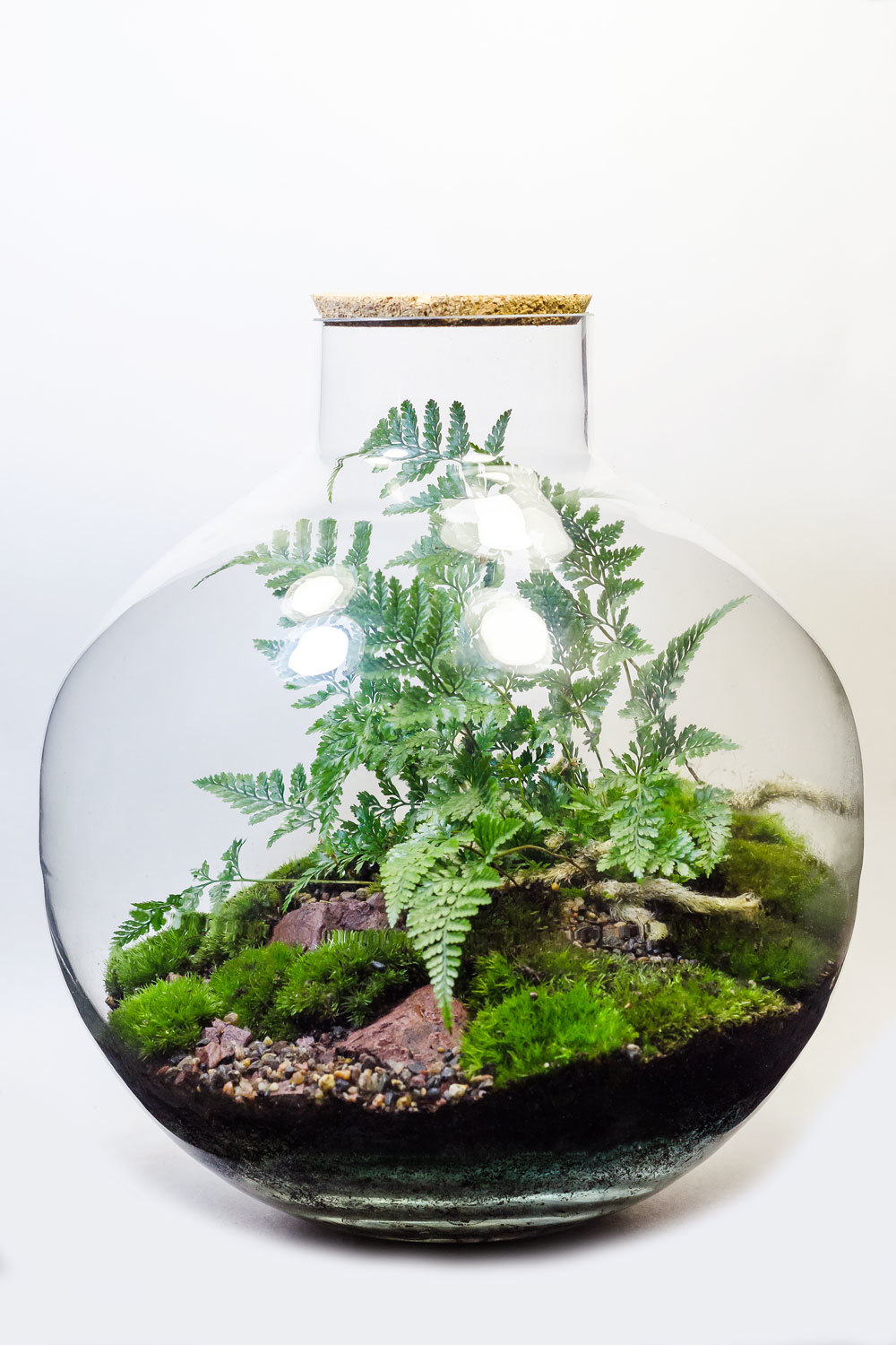 ФЛОРАРИУМ BUBBLE