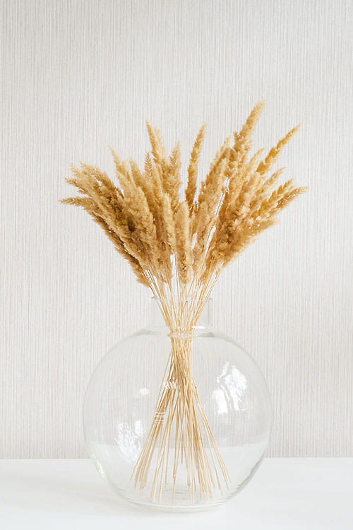 ВЕЙНИК НАТУРАЛЬНЫЙ 60СМ 50ШТ