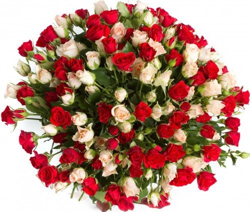 Букет из 55 кустовых роз