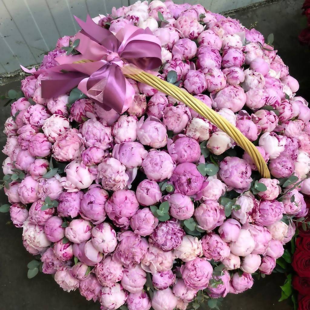Корзина из 101 пиона (Голландия)