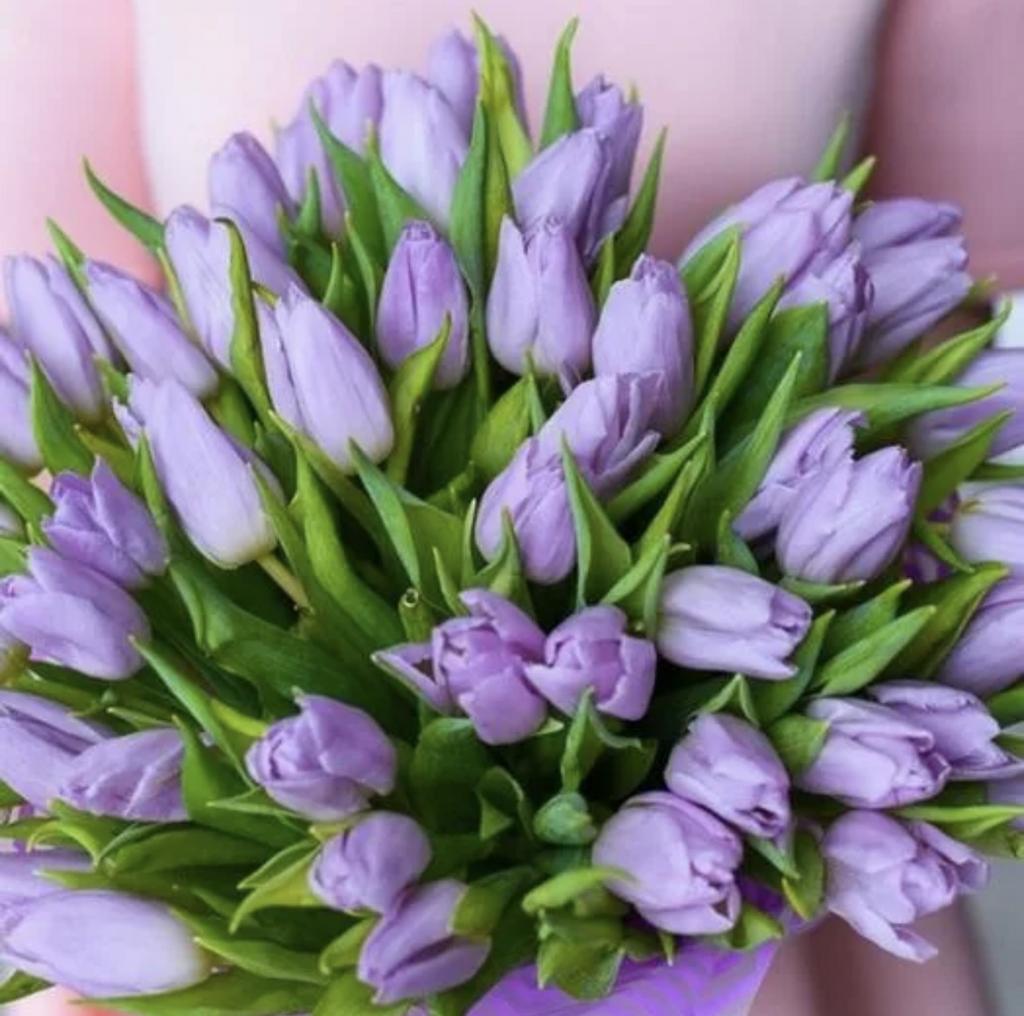 Букет лавандовых тюльпанов