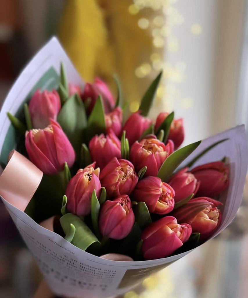 Букет ягодных пионовидных тюльпана Голландия (25,35,51,75 или 101 шт)