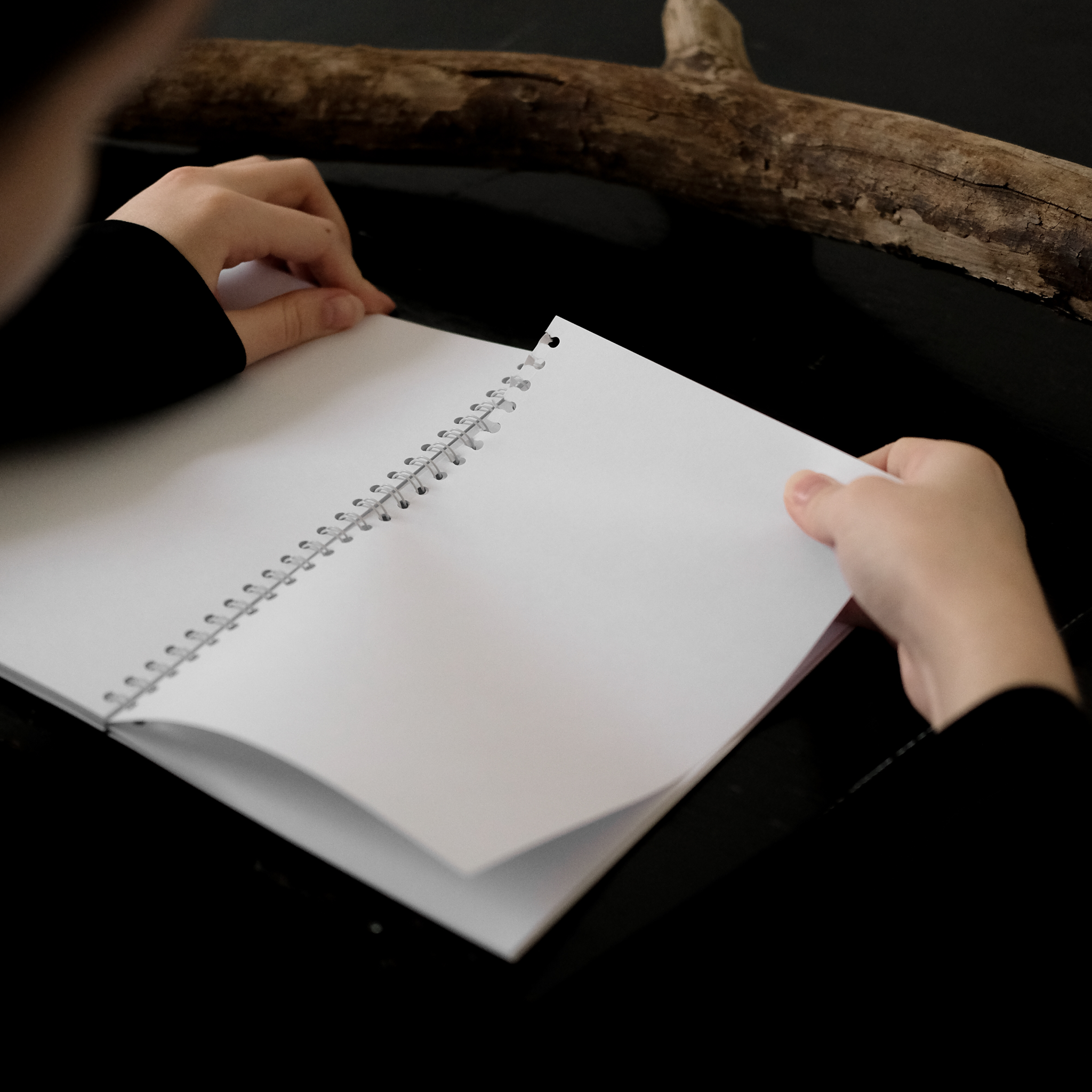 блокнот "развитие"