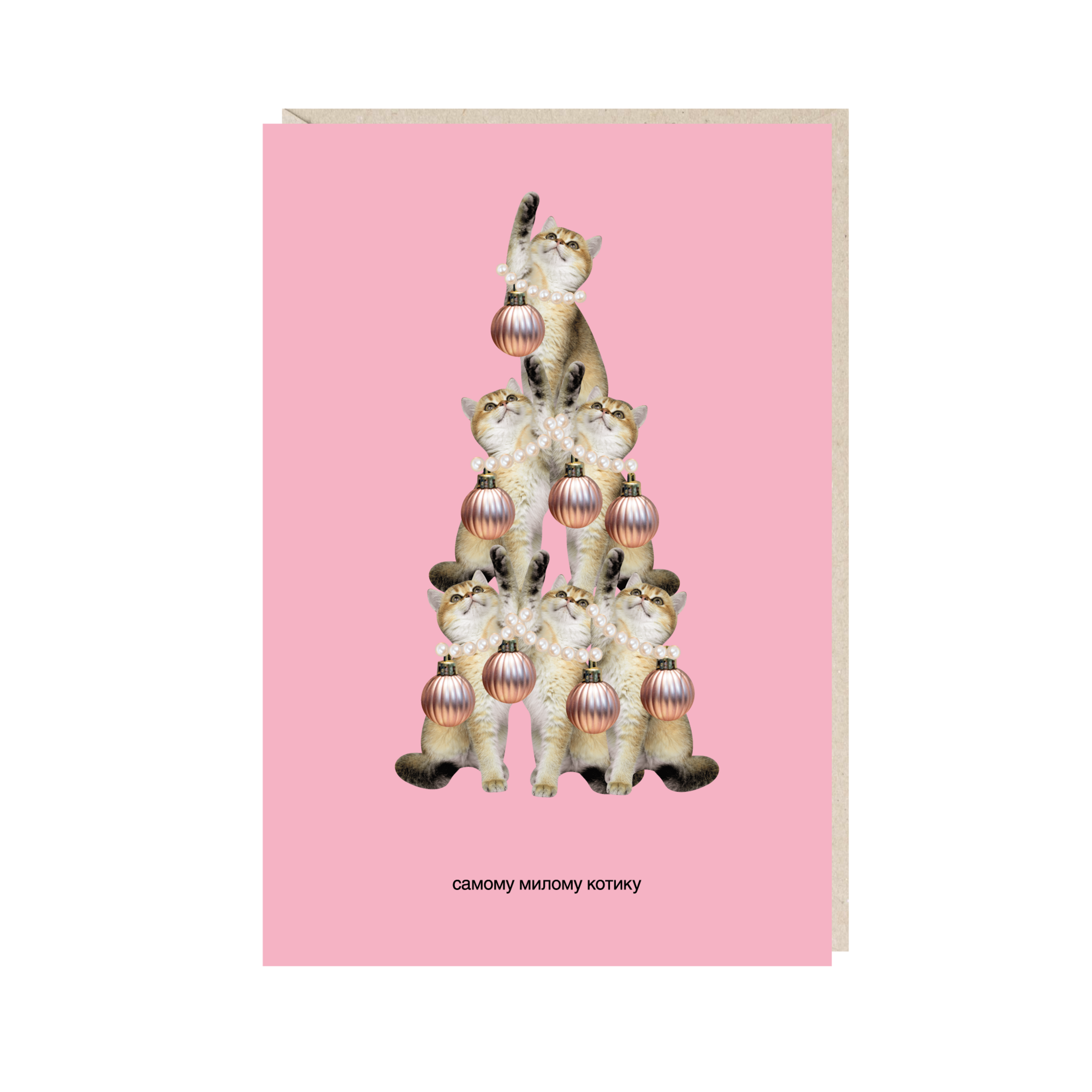 открытка "самому милому котику"