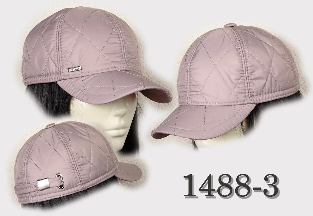 бейсболка  1488-3