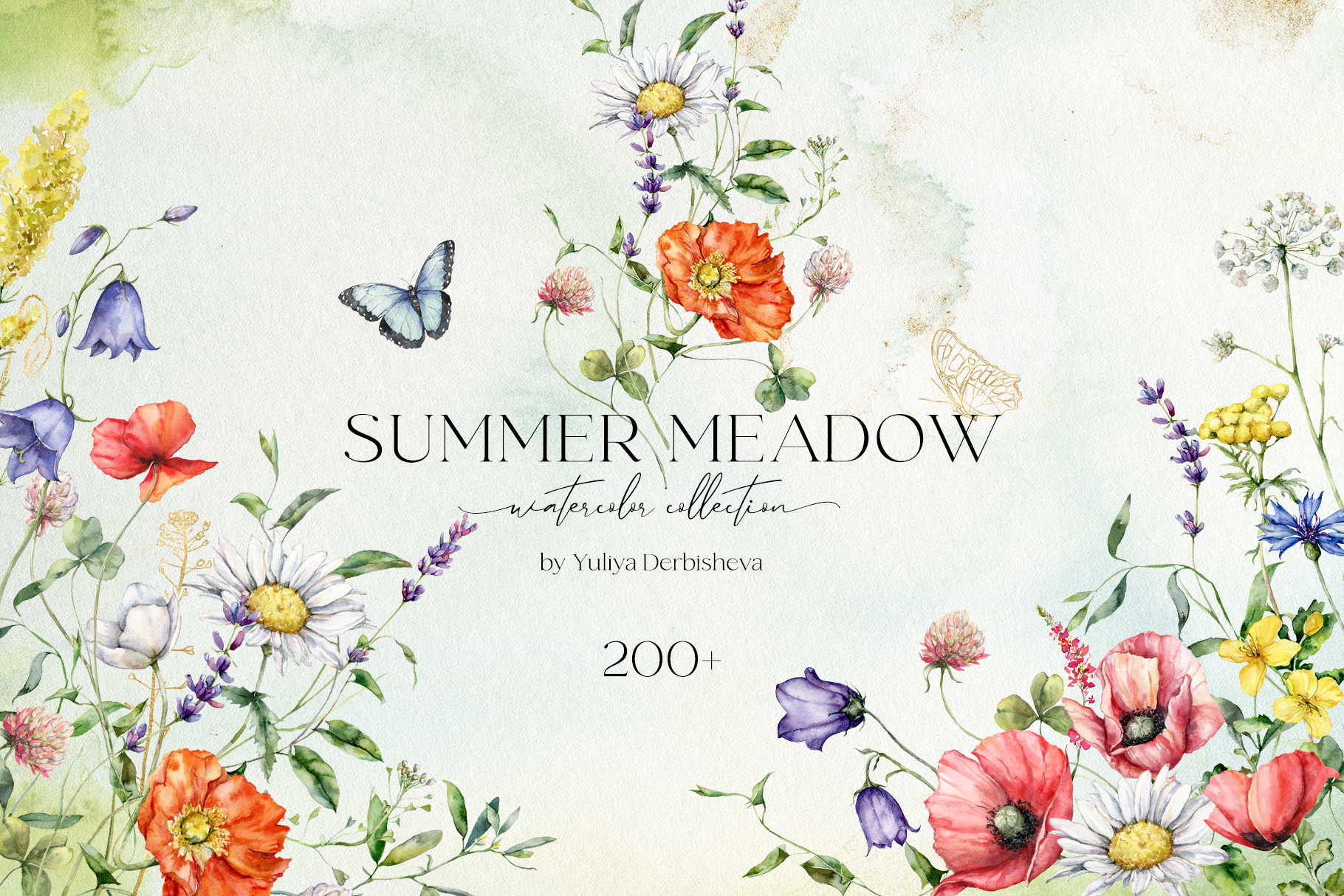Summer Meadow Watercolor wildflowers illustration for Design & Decor