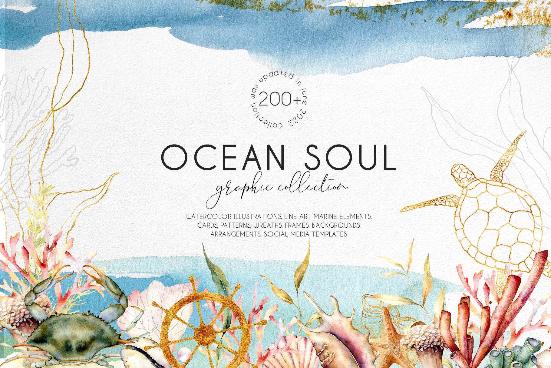 Ocean Soul sea animals illustration watercolor clipart