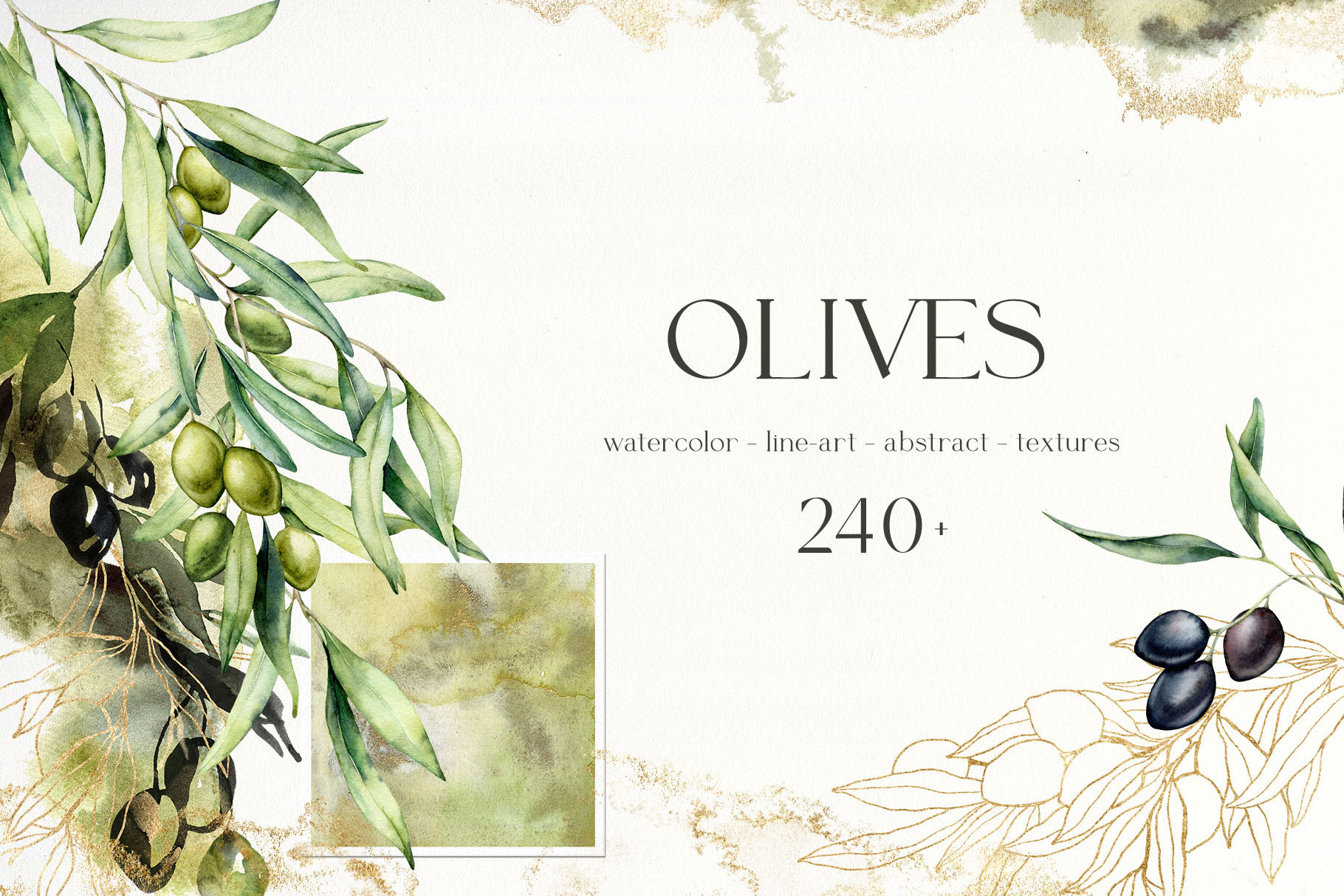 Olive Branch Foliage Illustrations | Watercolor & Vector Botanical art