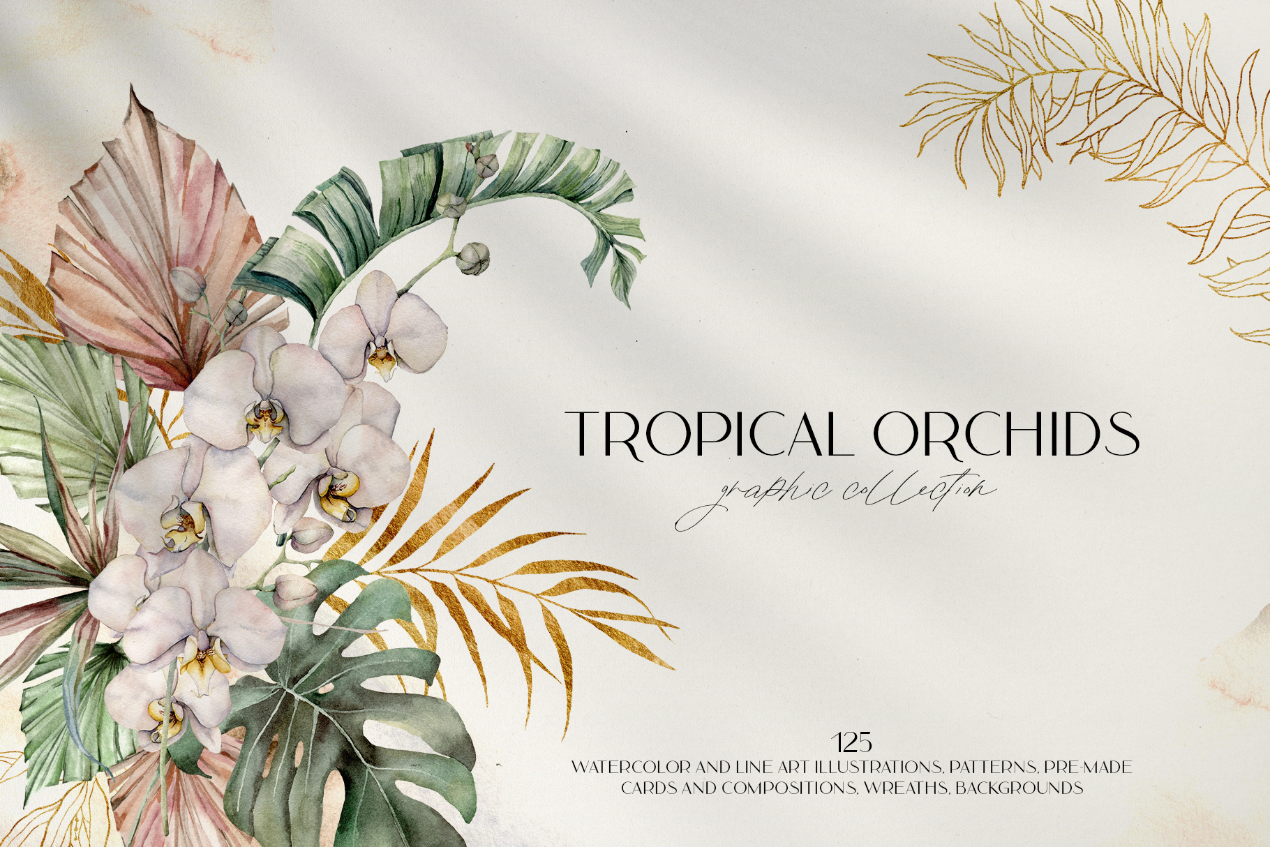 Orchid flowers watercolor tropical floral illustrations