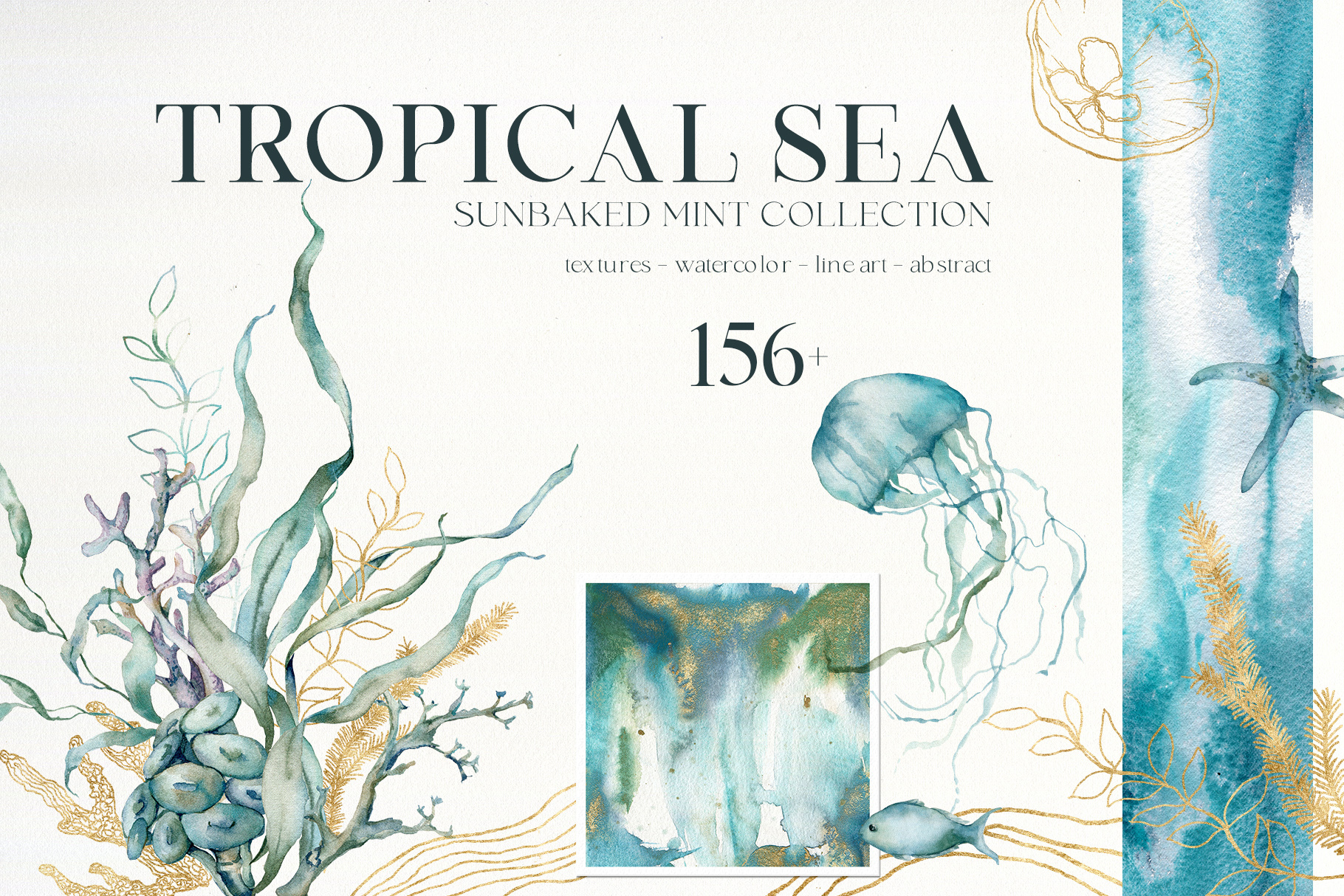 Tropical Sea Creatures: Ocean Animals & Turquoise Backgrounds for Design