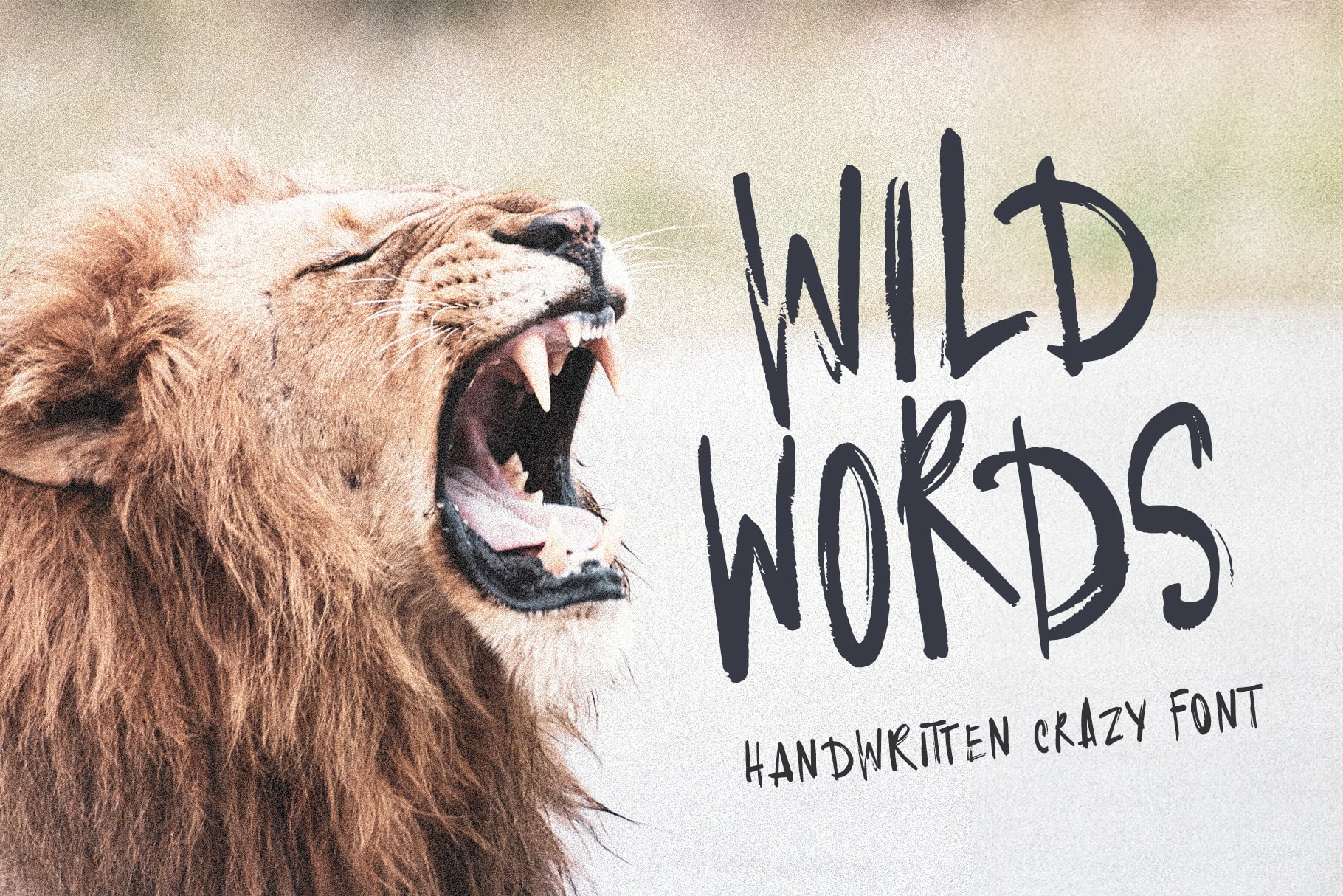 Wild Words marker handwriting font quirky & textured
