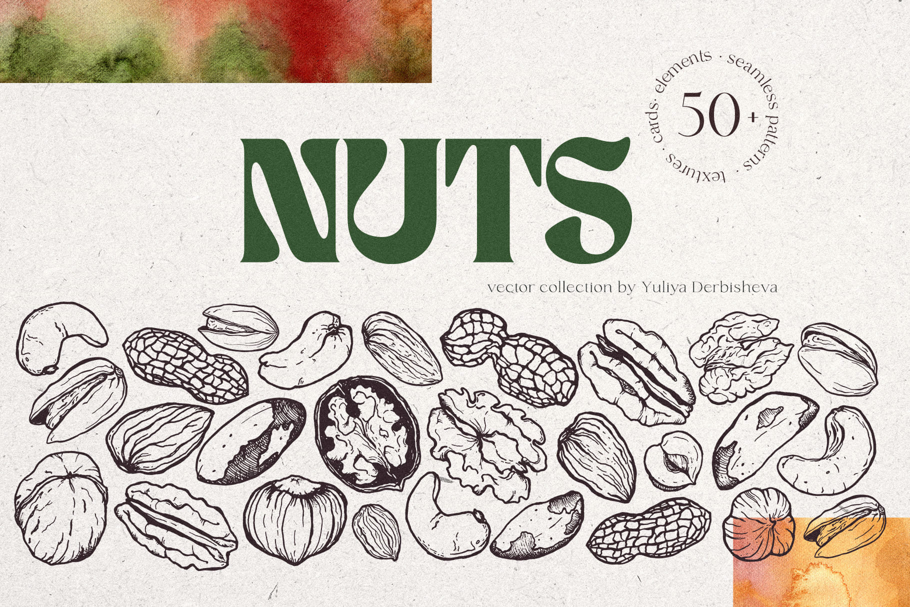 NUTS vector nut illustration texture & patterns