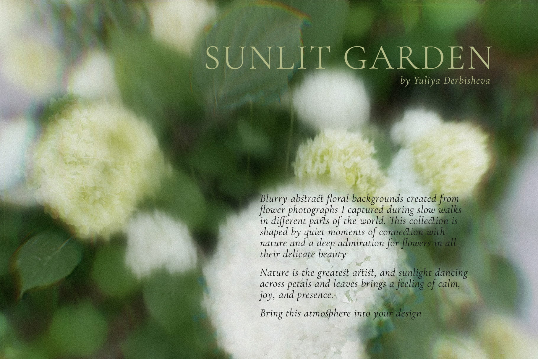 Sunlit Garden – Blurry & Glitch Abstract Flower Backgrounds