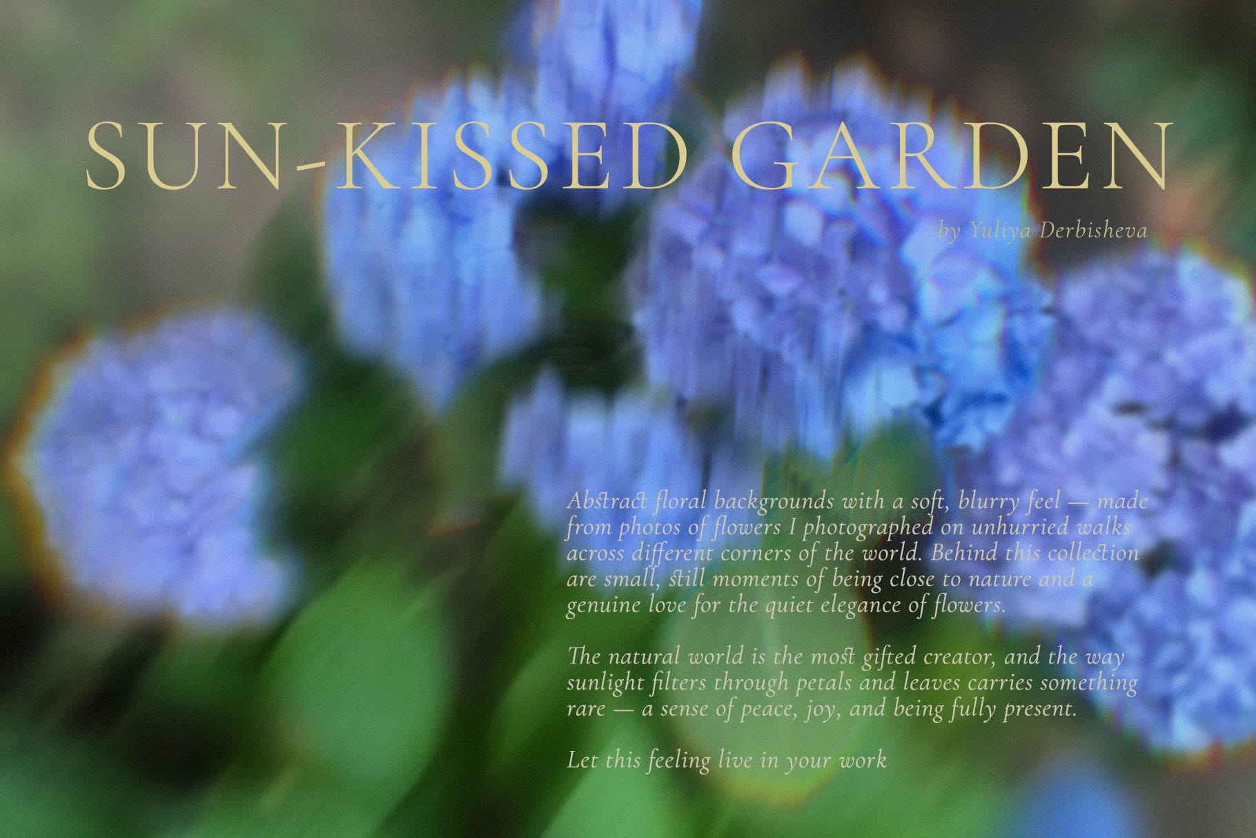 Sun-Kissed Garden – Blurry Abstract Floral Backgrounds
