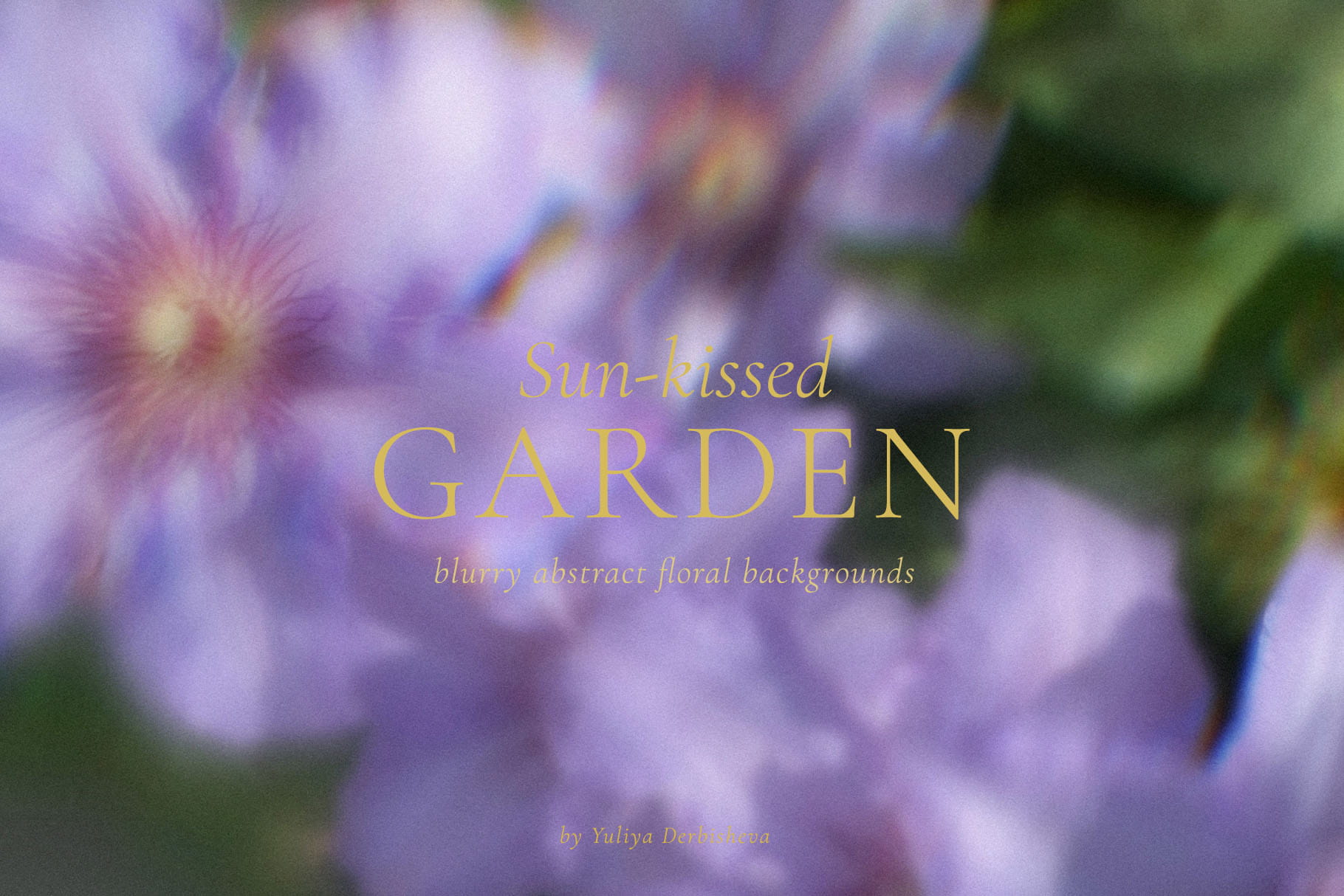 Sun-Kissed Garden – Blurry Abstract Floral Backgrounds