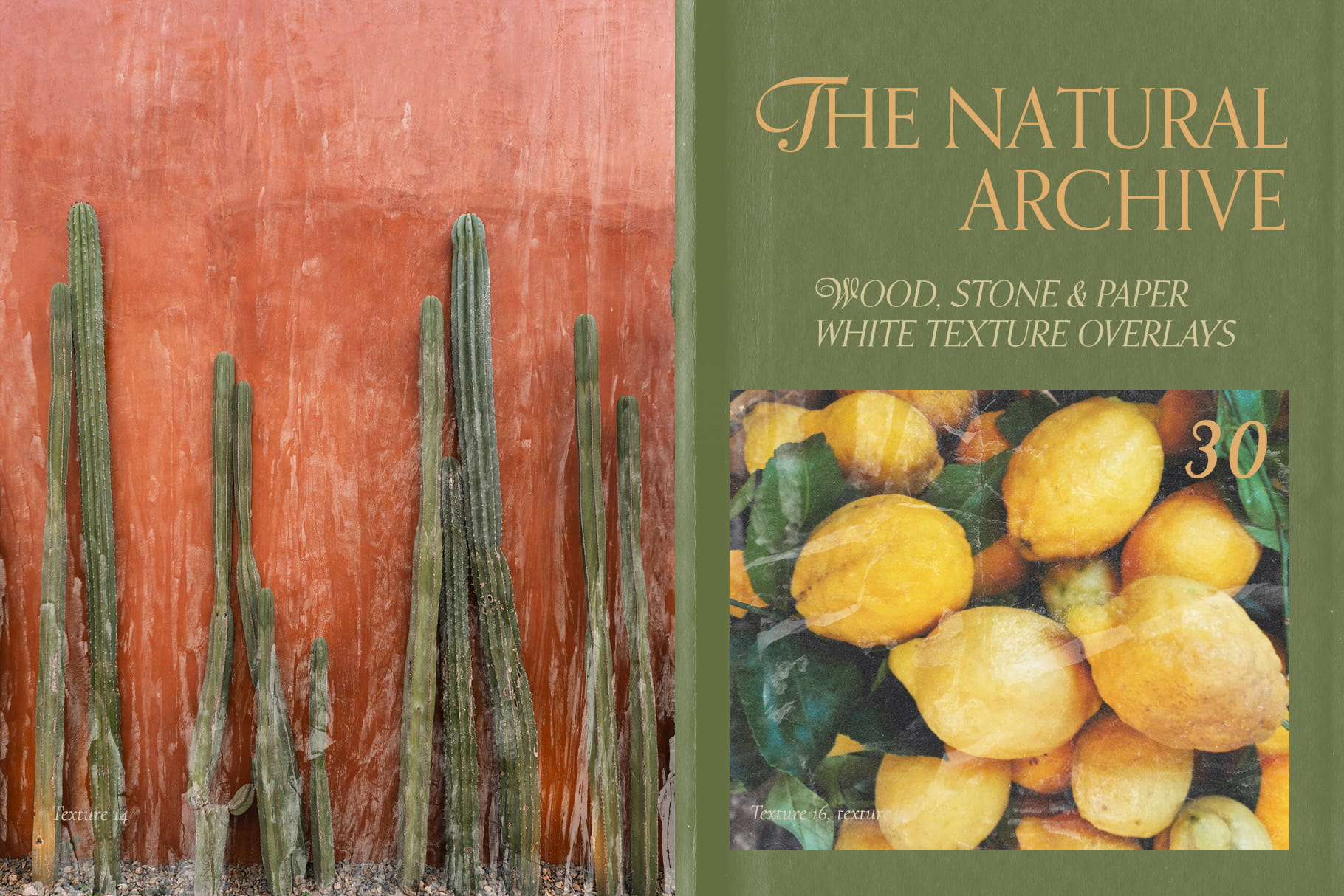 The Natural Archive - Wood, Stone & Paper Texture White Overlays PNG