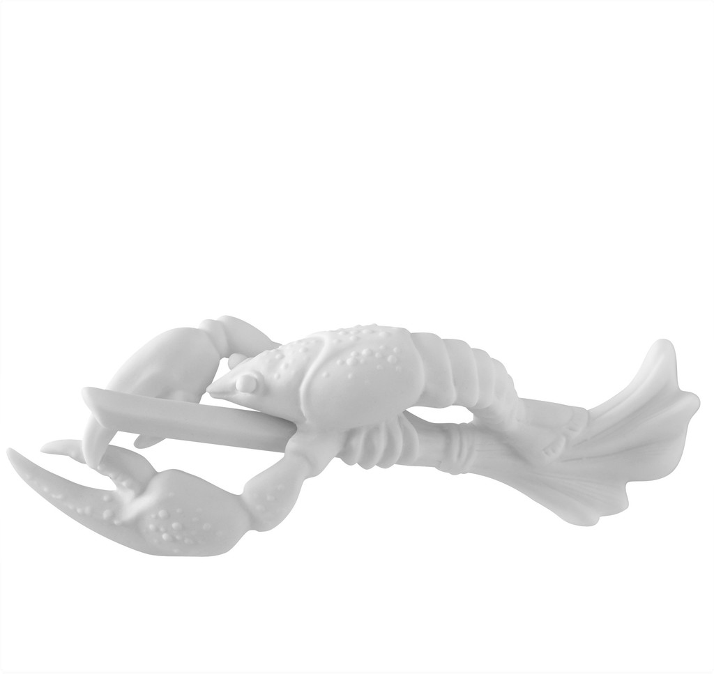 Рак на метле