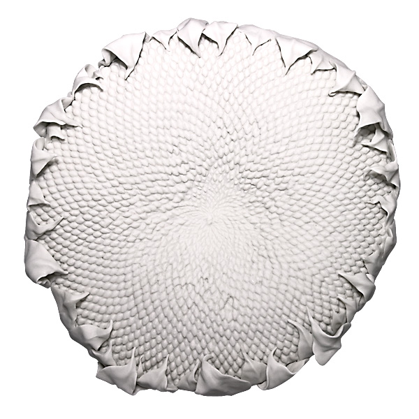 "Подсолнух"