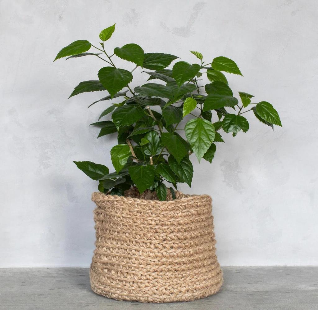 BASKET  LINEN