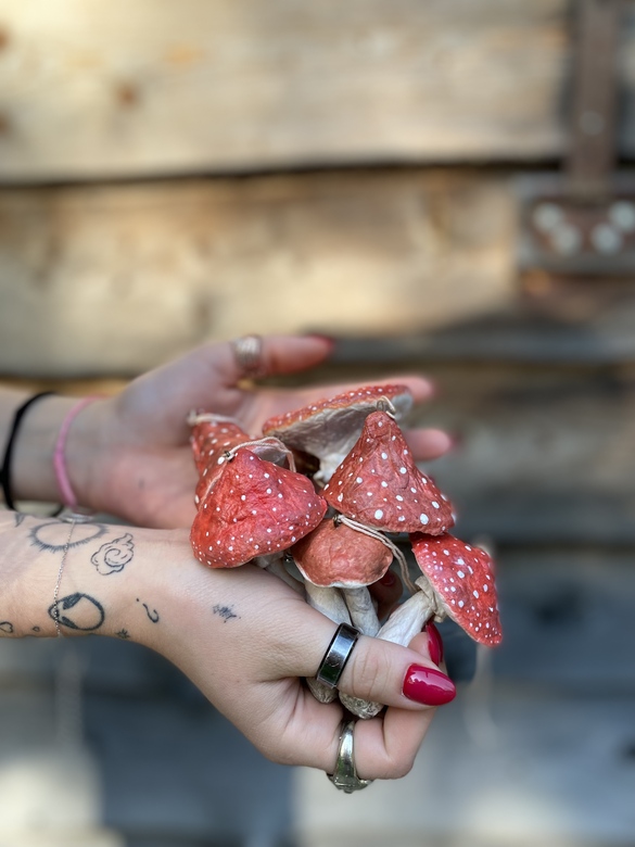 Мухоморы из ваты