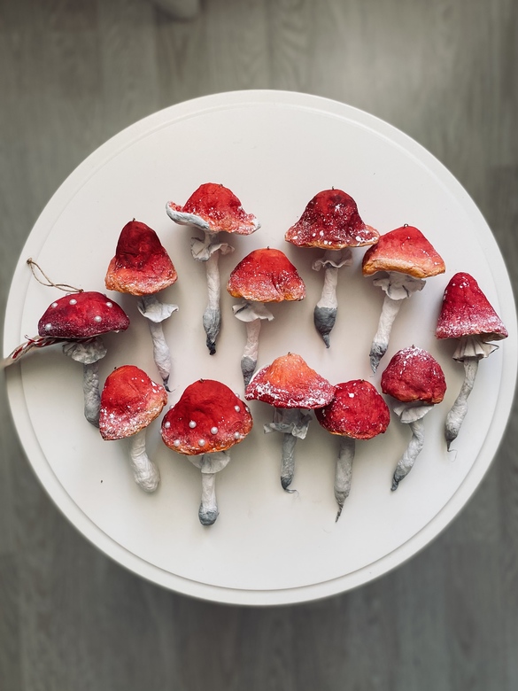 Мухоморы ватные