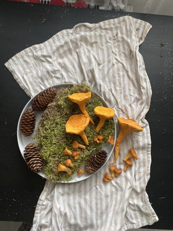 Гриб лисичка