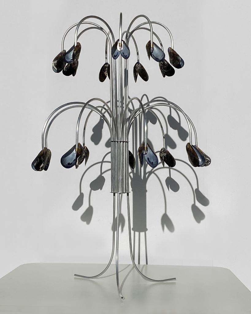 LAMP WITH MUSSELS